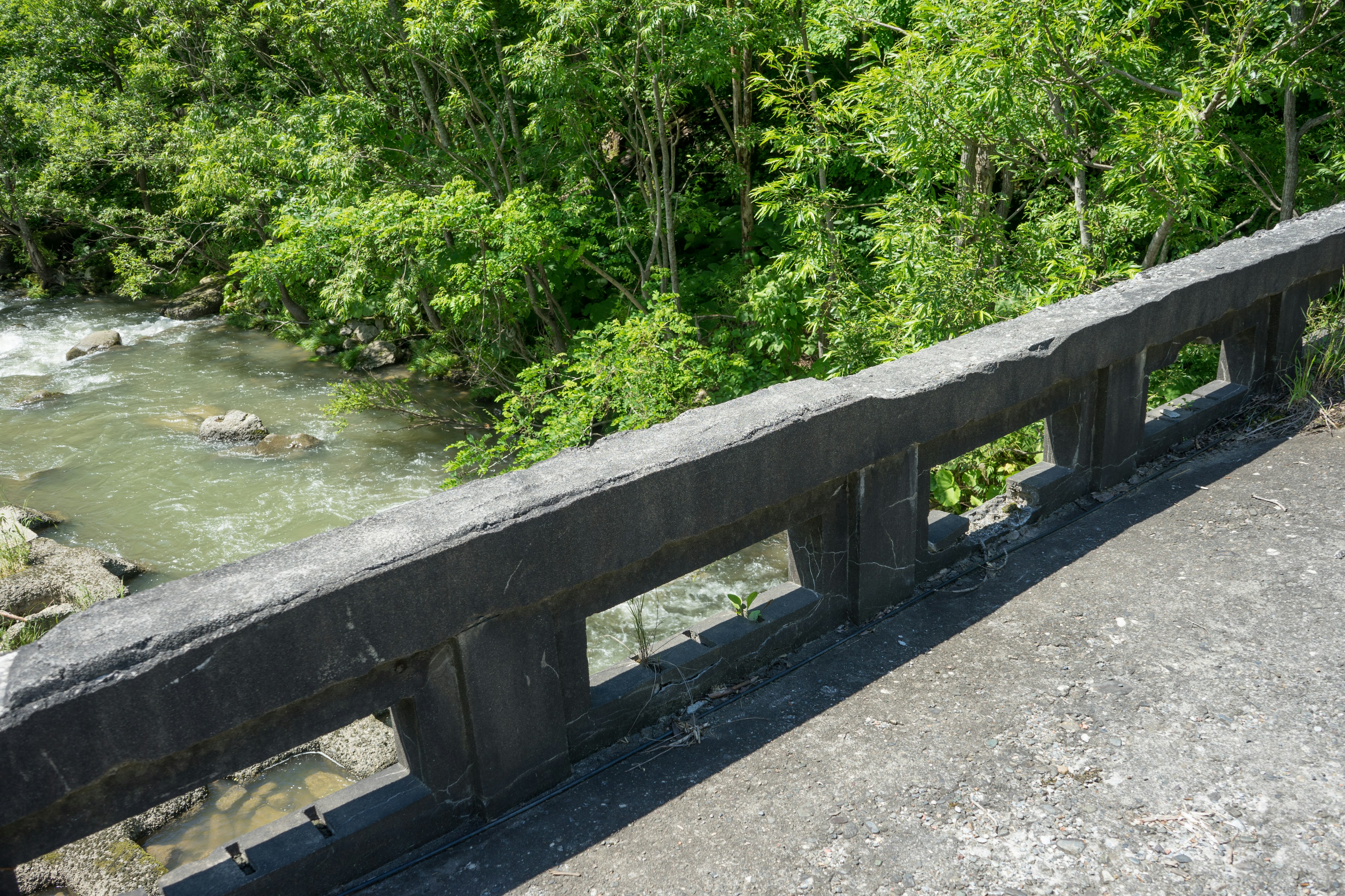 Pemandangan pagar jembatan yang menghadap sungai dikelilingi oleh pepohonan yang subur