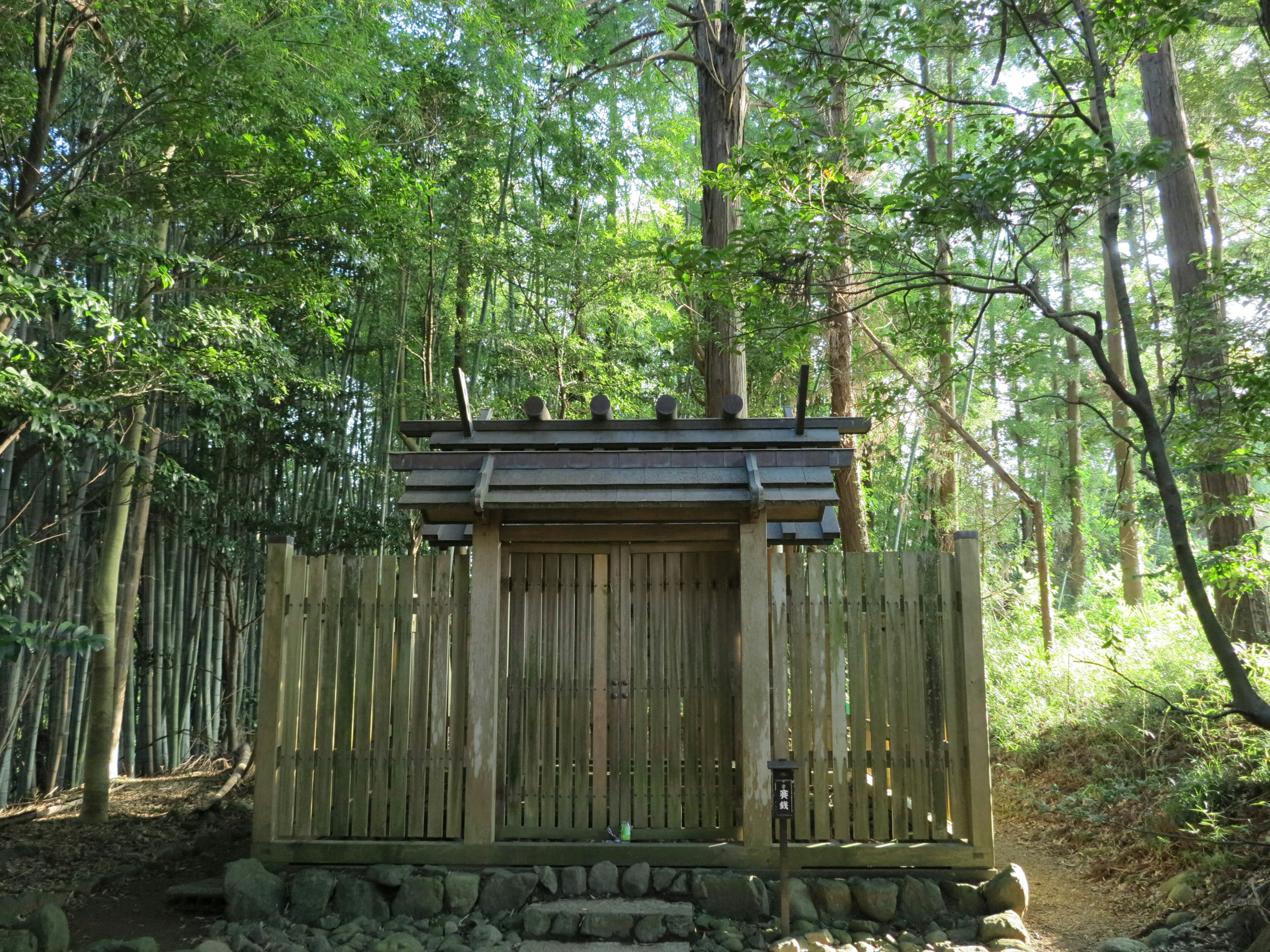 Cabaña de madera con cerca de bambú en un bosque frondoso