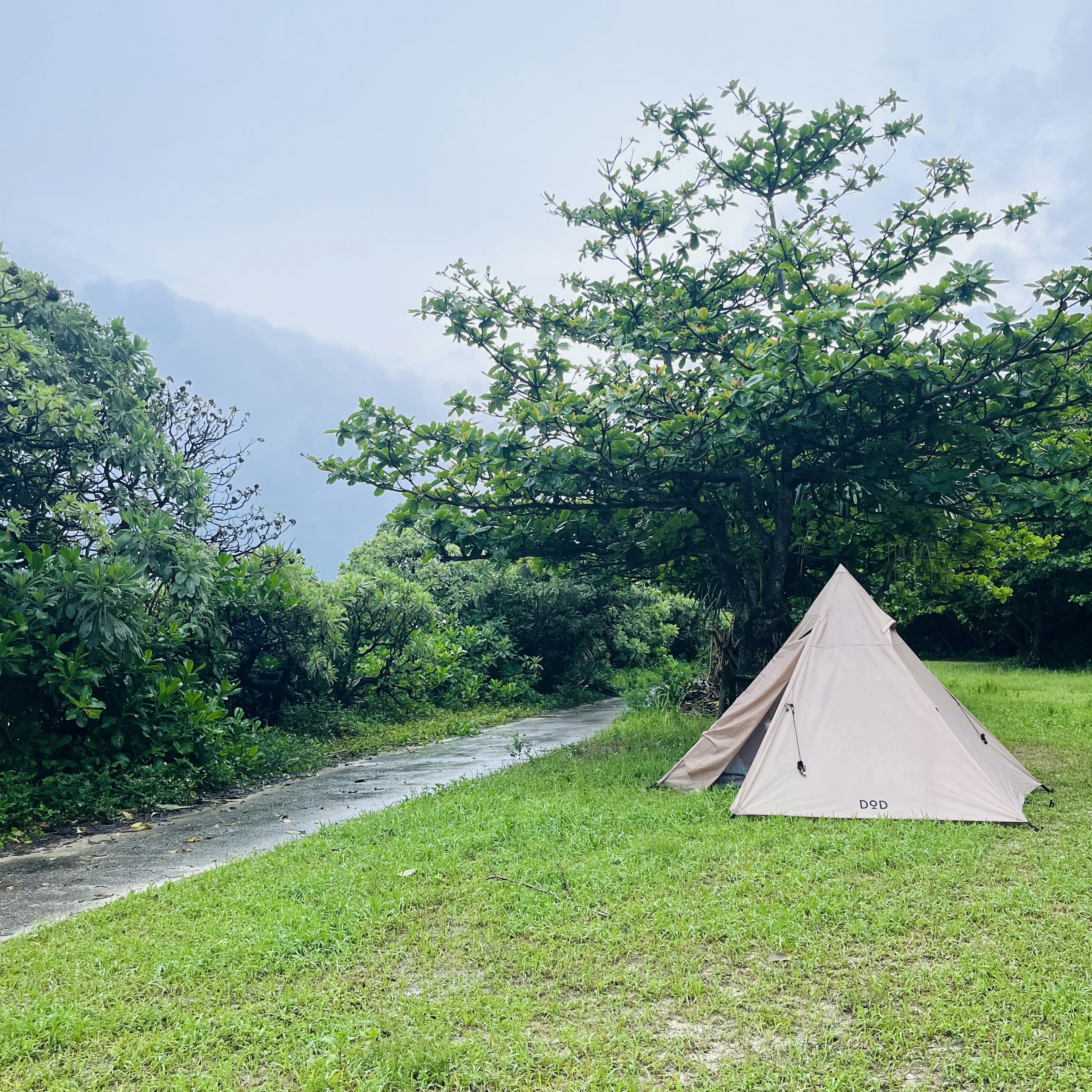 Tenda didirikan di rumput hijau dengan pohon-pohon di sekitarnya