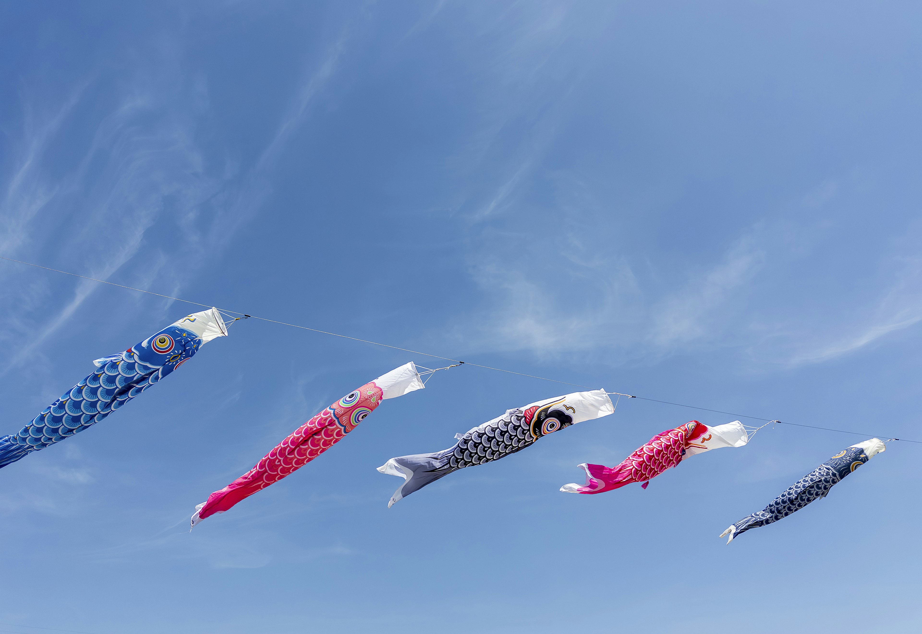 Bendera koi nobori berwarna-warni yang berkibar di langit biru