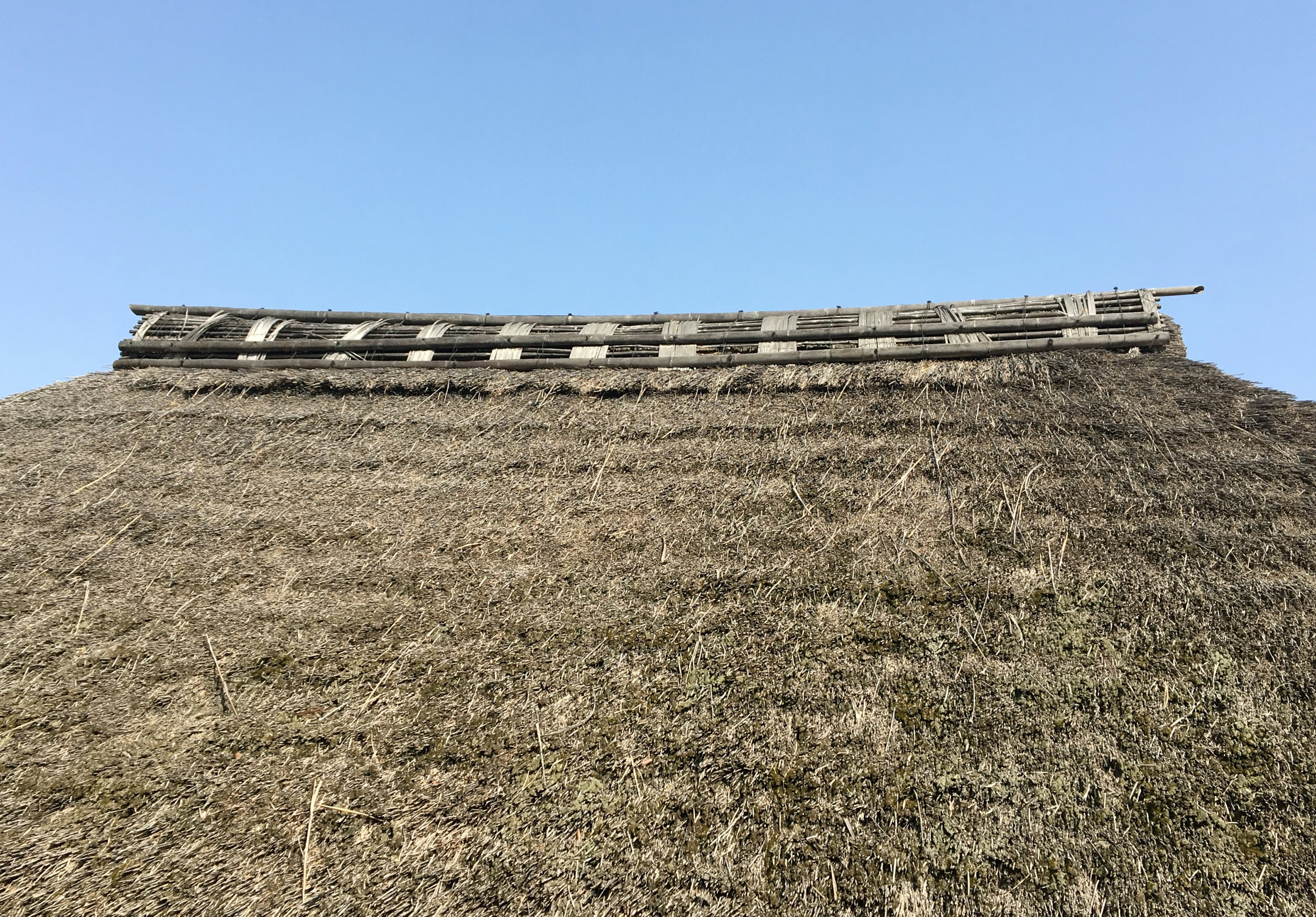 Fotografía de una estructura de techo de paja mostrando la parte superior