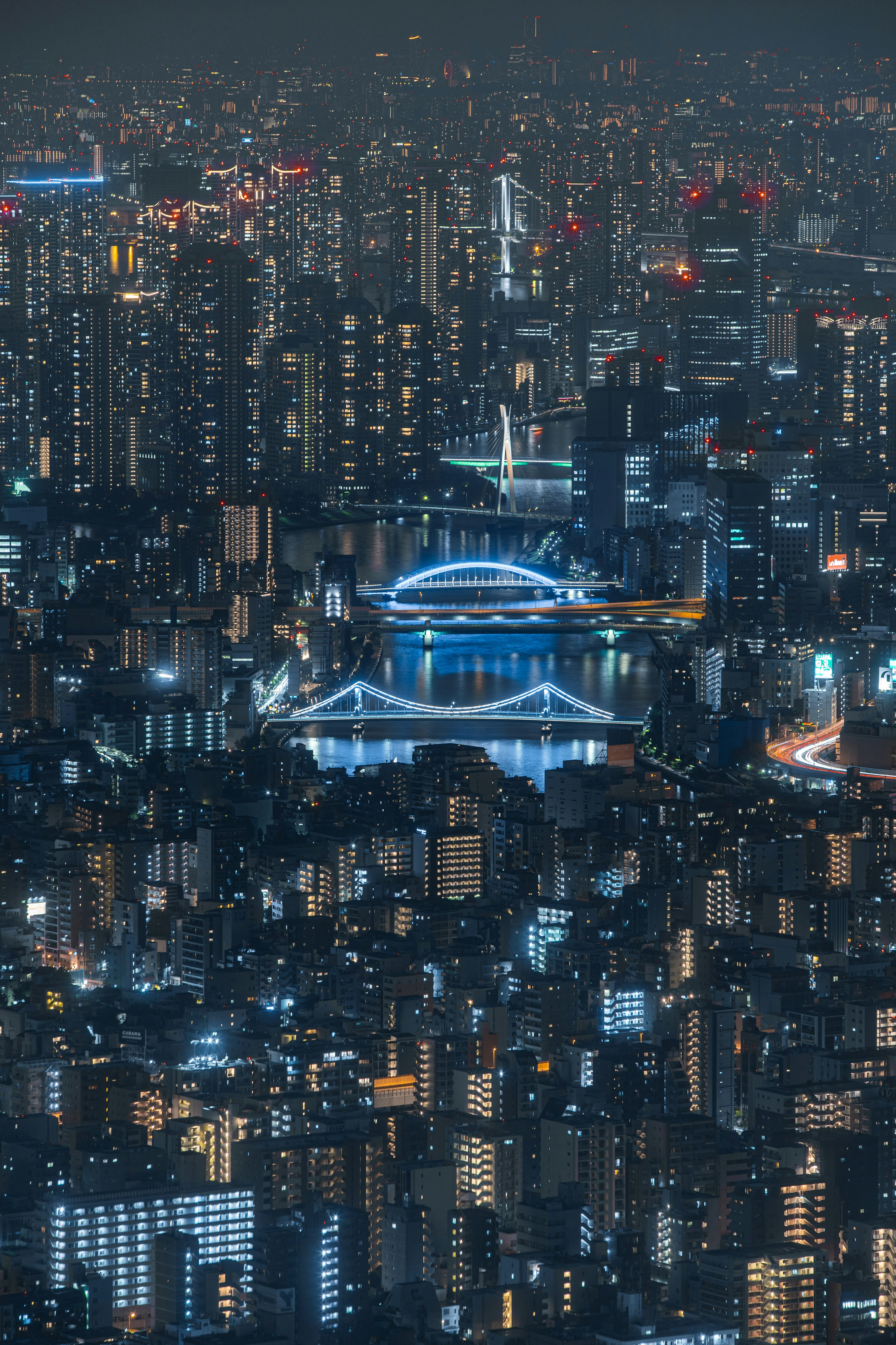 夜景の都市風景 高層ビルと光る橋が見える