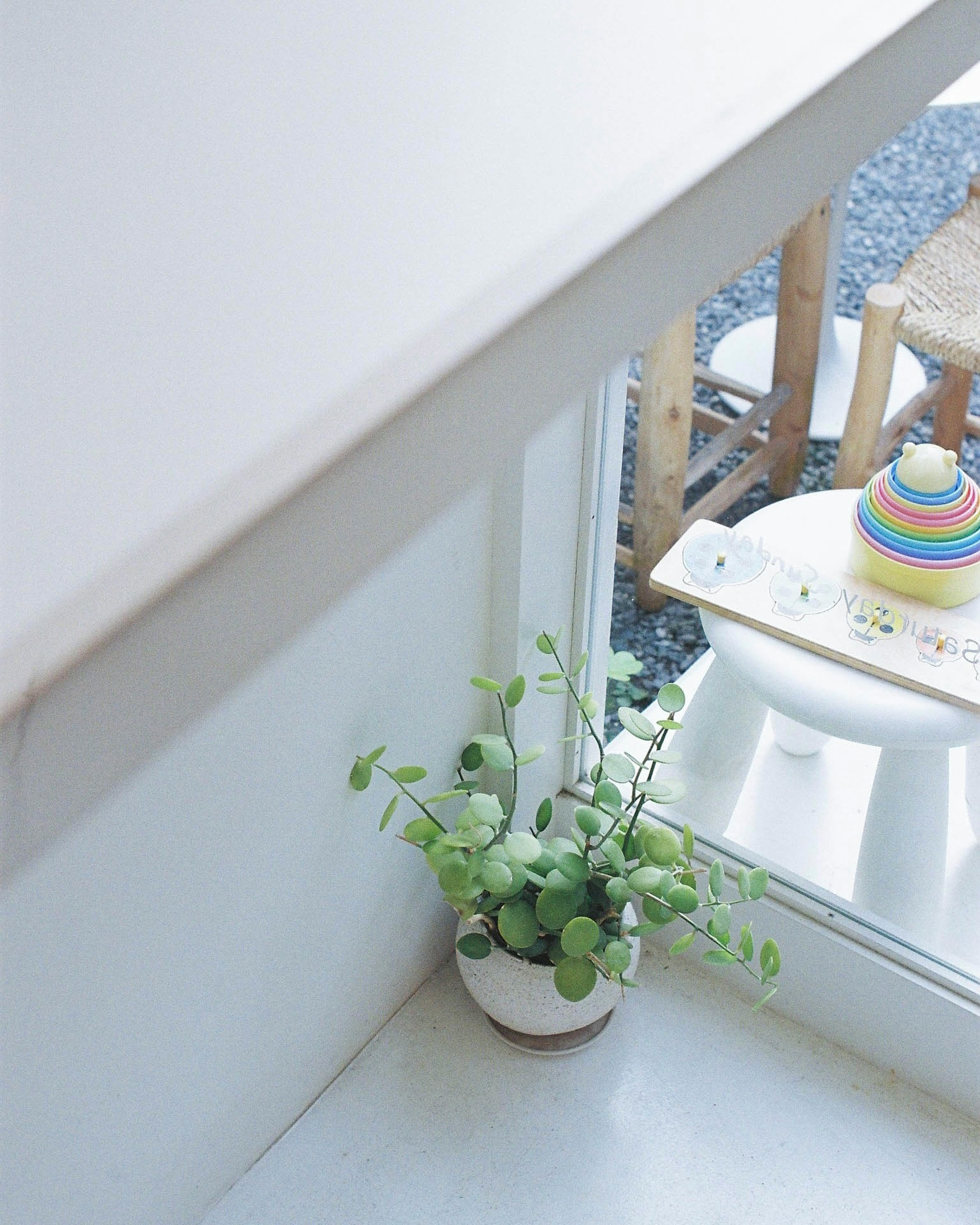 Pequeña planta en maceta cerca de una ventana con objeto decorativo colorido