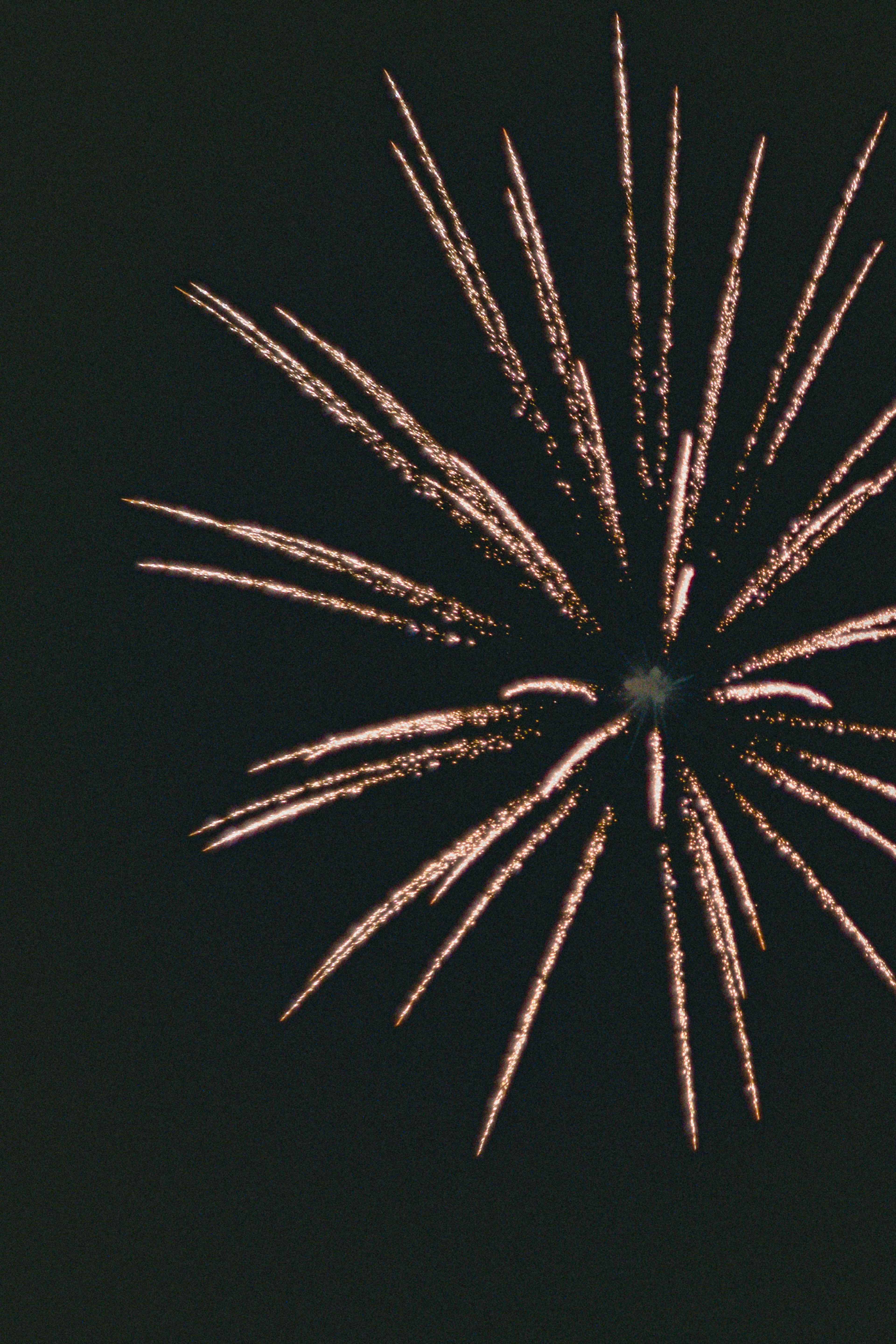 Beautiful firework pattern against a dark background