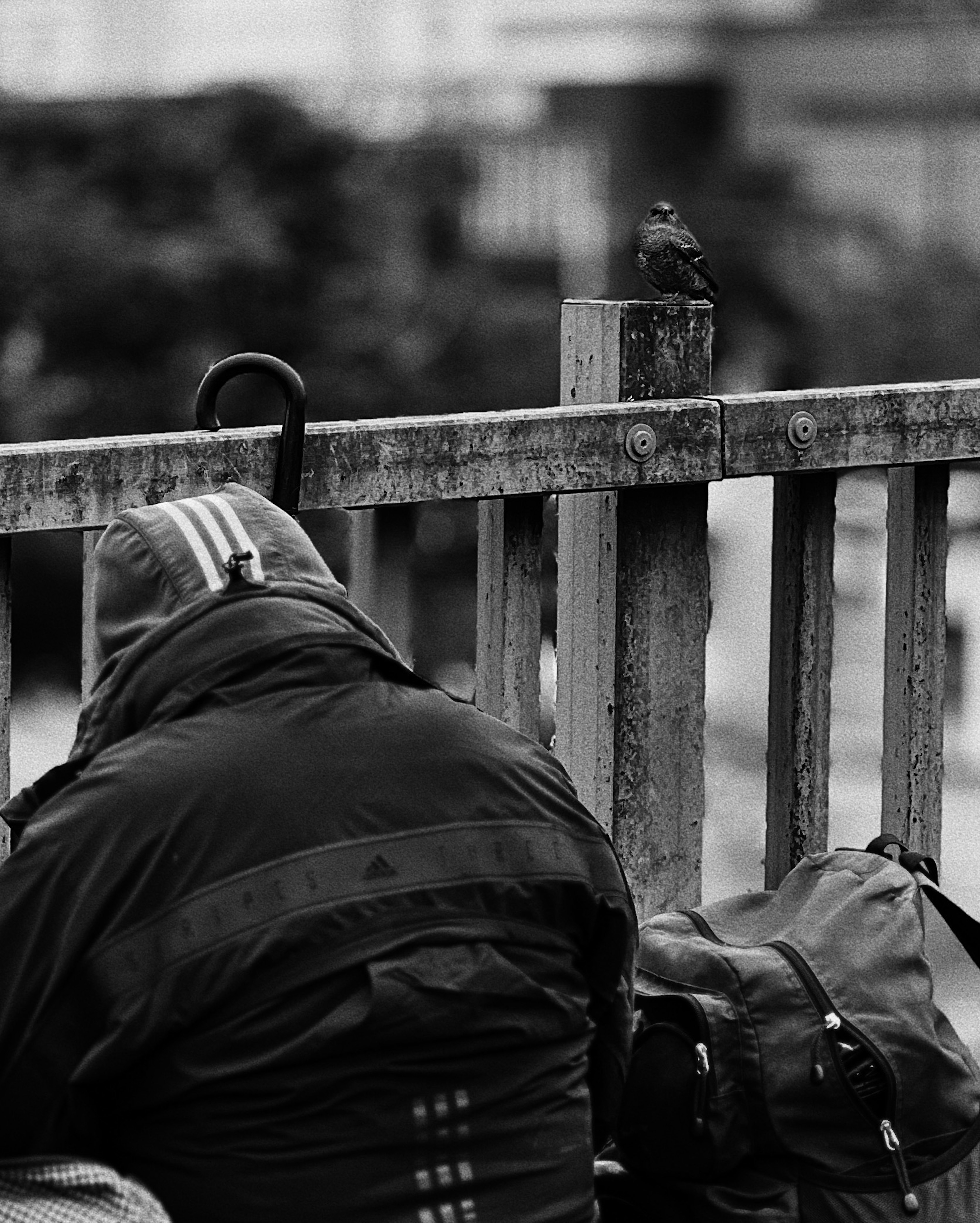 Una persona de espaldas en un entorno en blanco y negro hay bolsas y zapatos a su alrededor