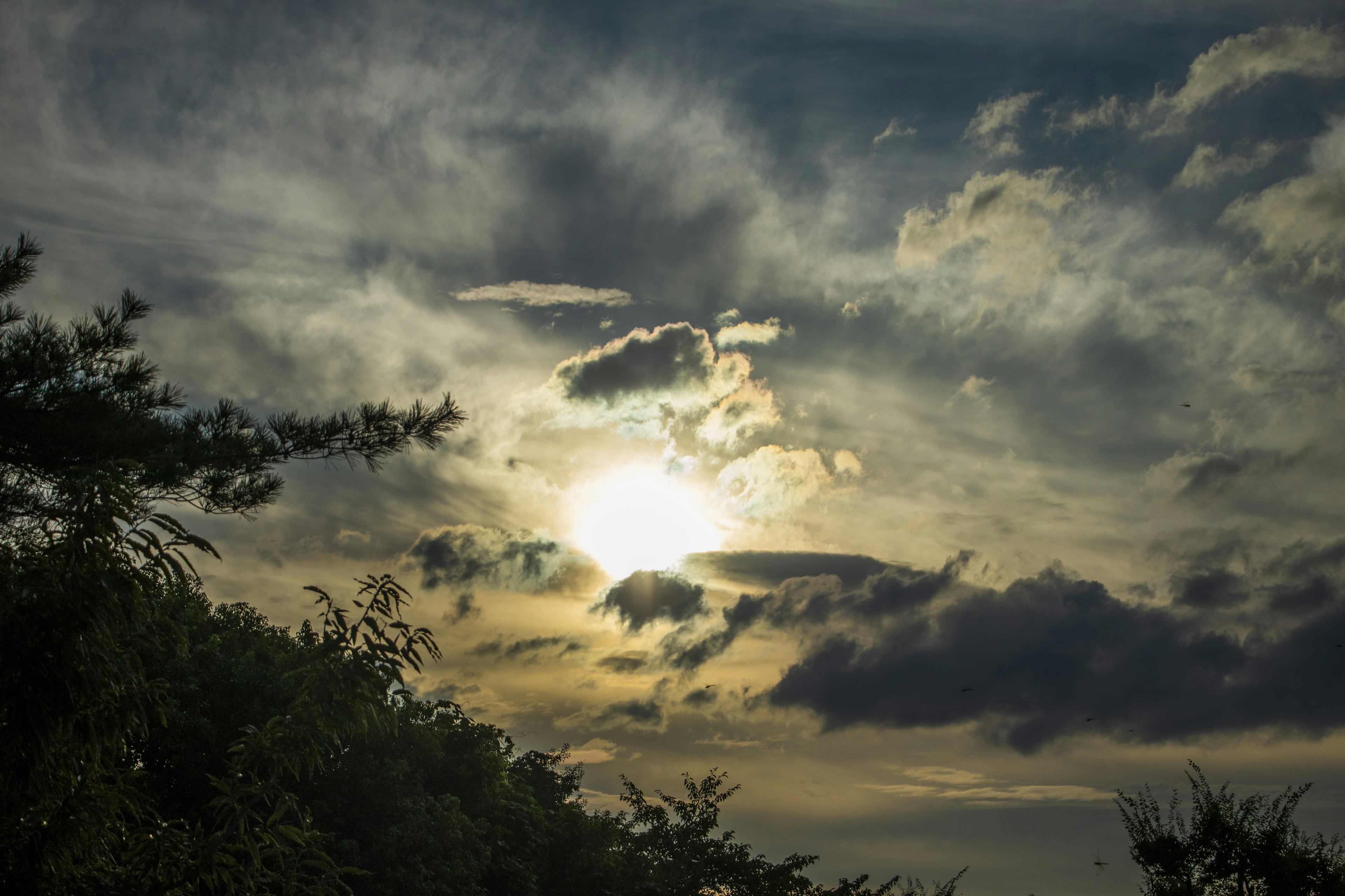 Vue panoramique du soleil brillant à travers des nuages dans un ciel dramatique