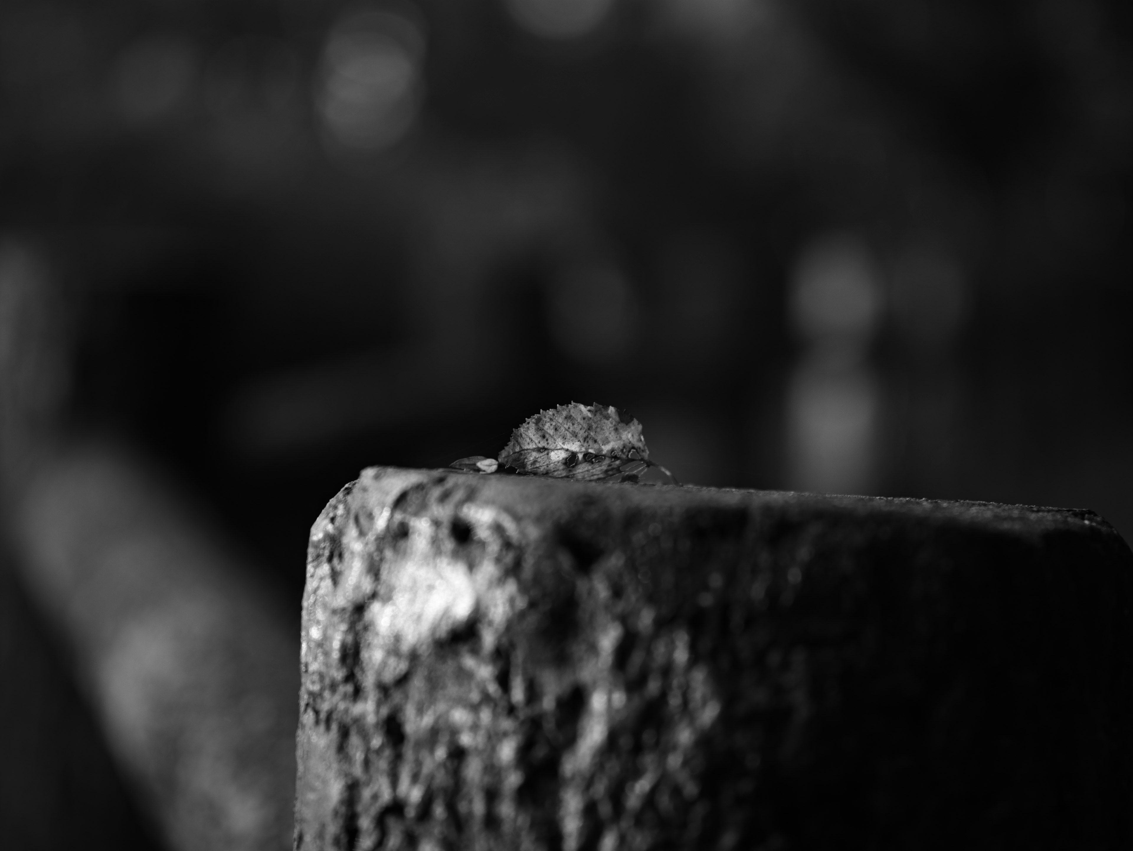 Kleines Objekt auf einem Holzpfosten in einer Schwarz-Weiß-Landschaft