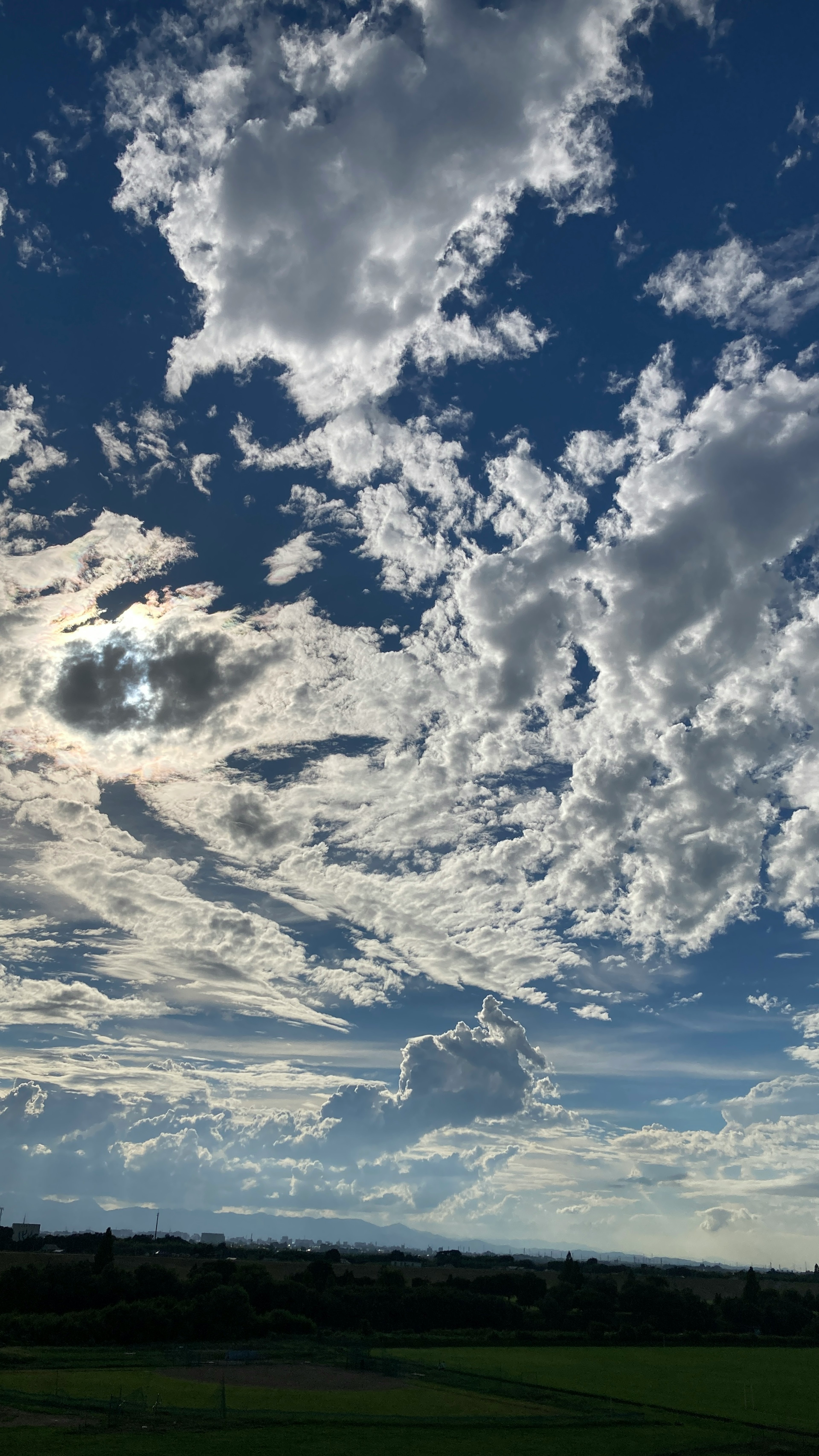 青空に白い雲が広がる美しい風景