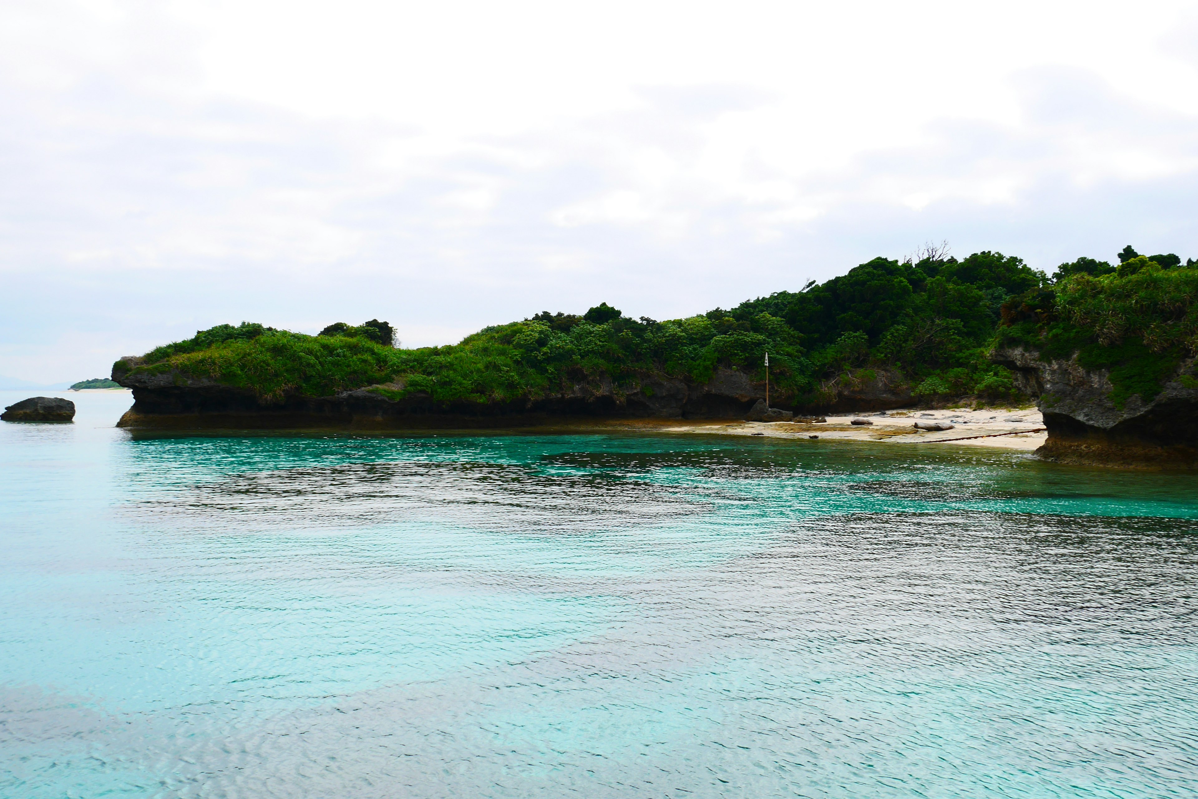 Vue côtière avec de l'eau turquoise et des collines vertes