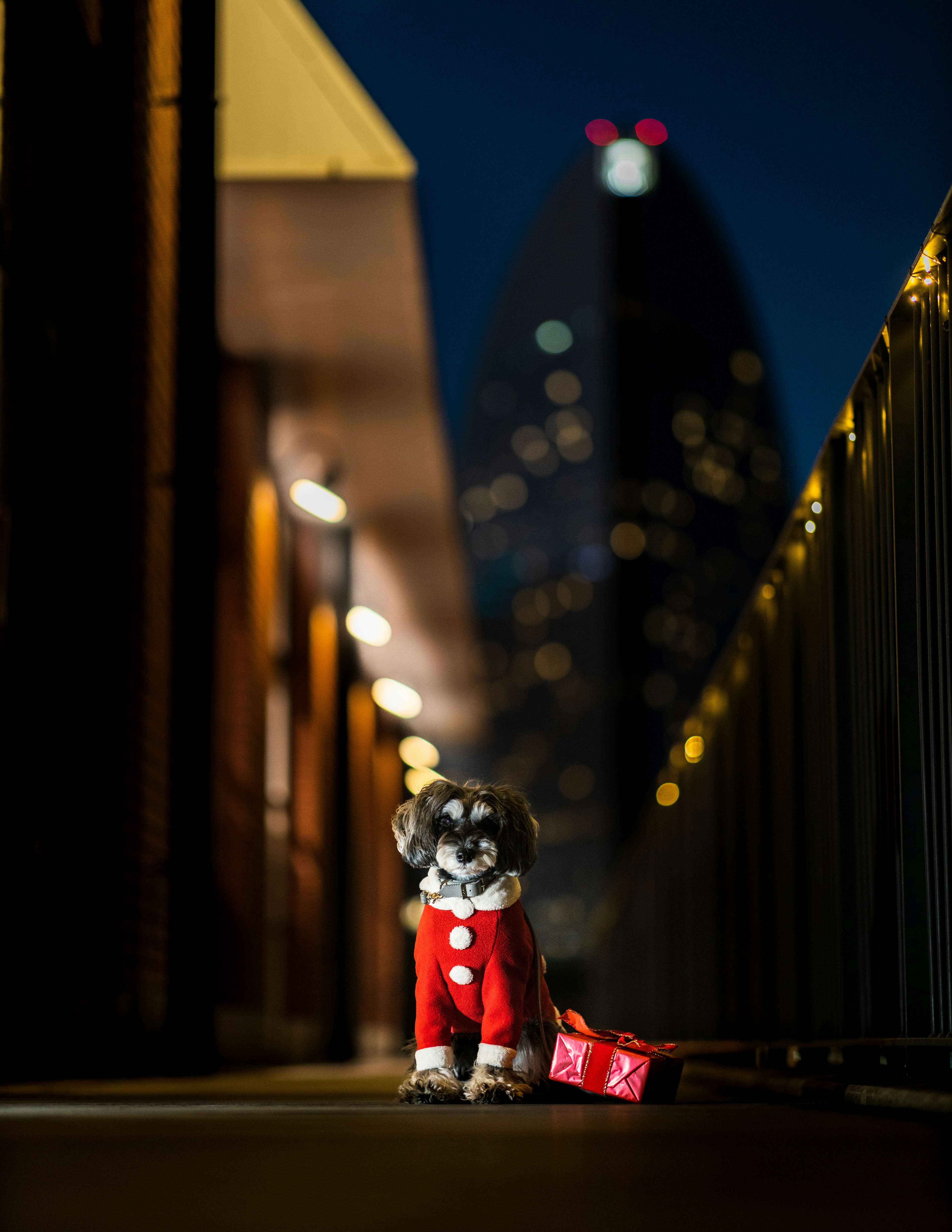 Ein Hund in einem roten Outfit steht nachts auf einer Stadtstraße mit Wolkenkratzern im Hintergrund