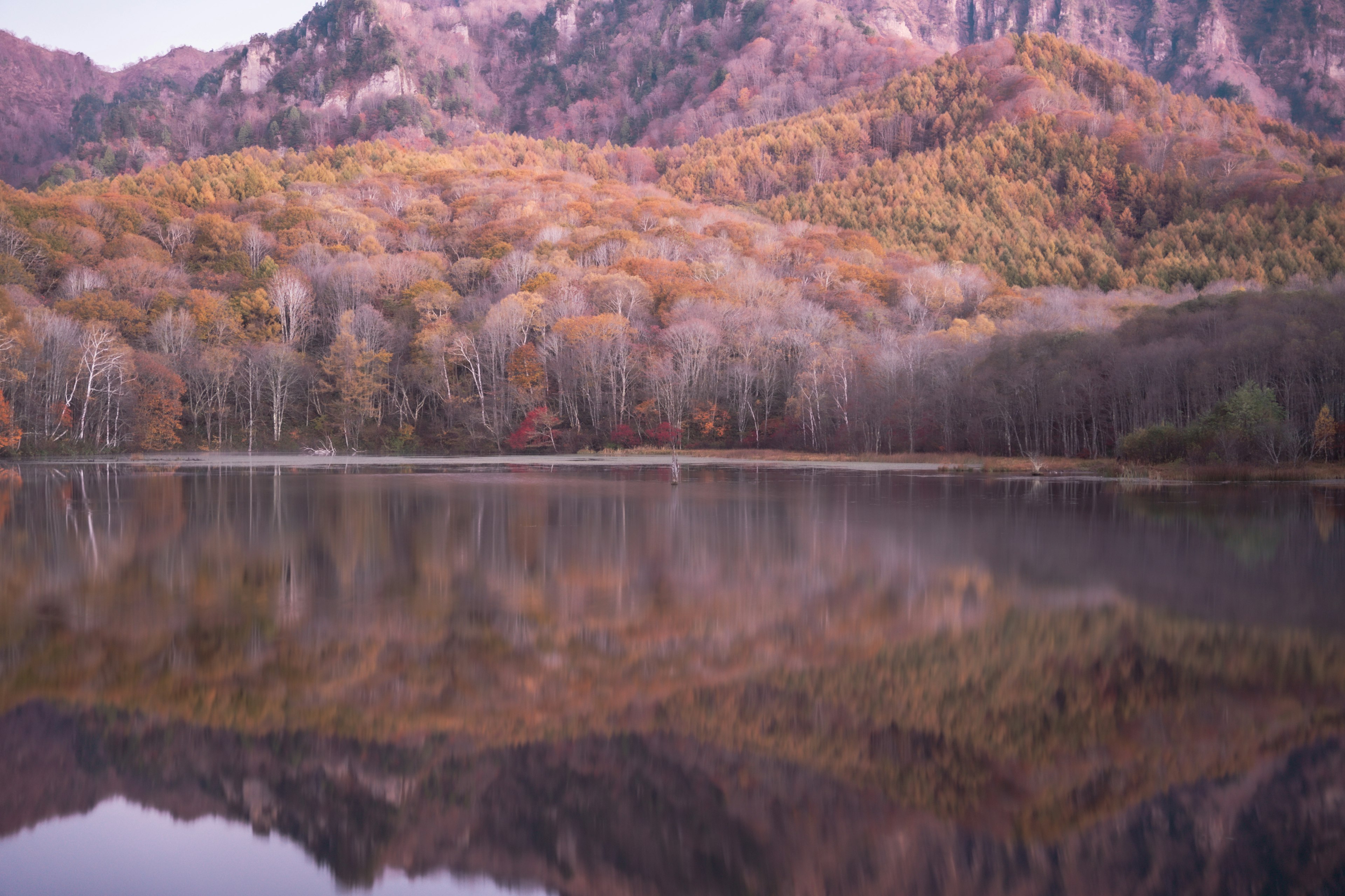 美しい秋の風景、山と湖の反射、オレンジと黄色の葉