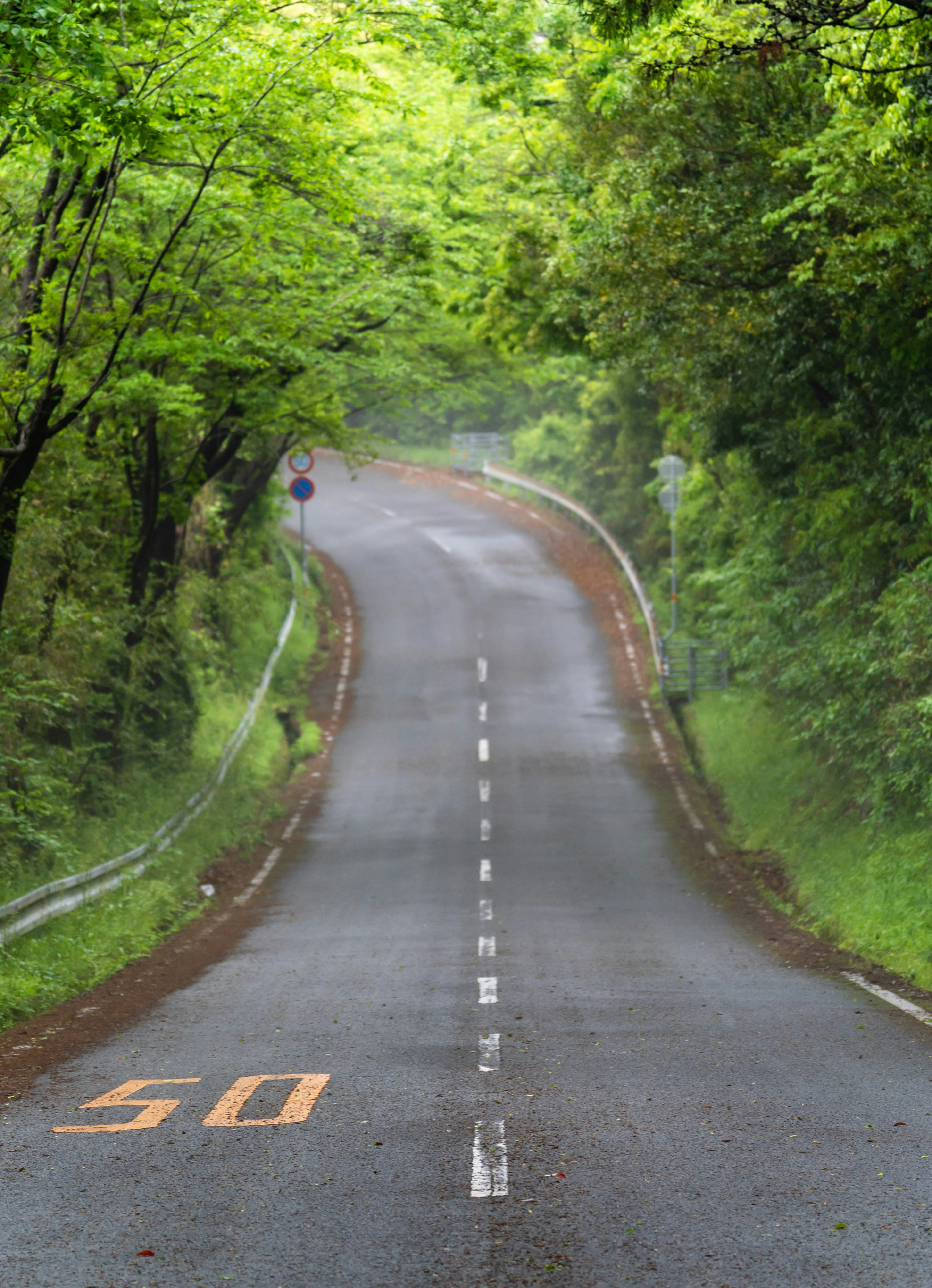 緑に囲まれた曲がりくねった道路と交通標識