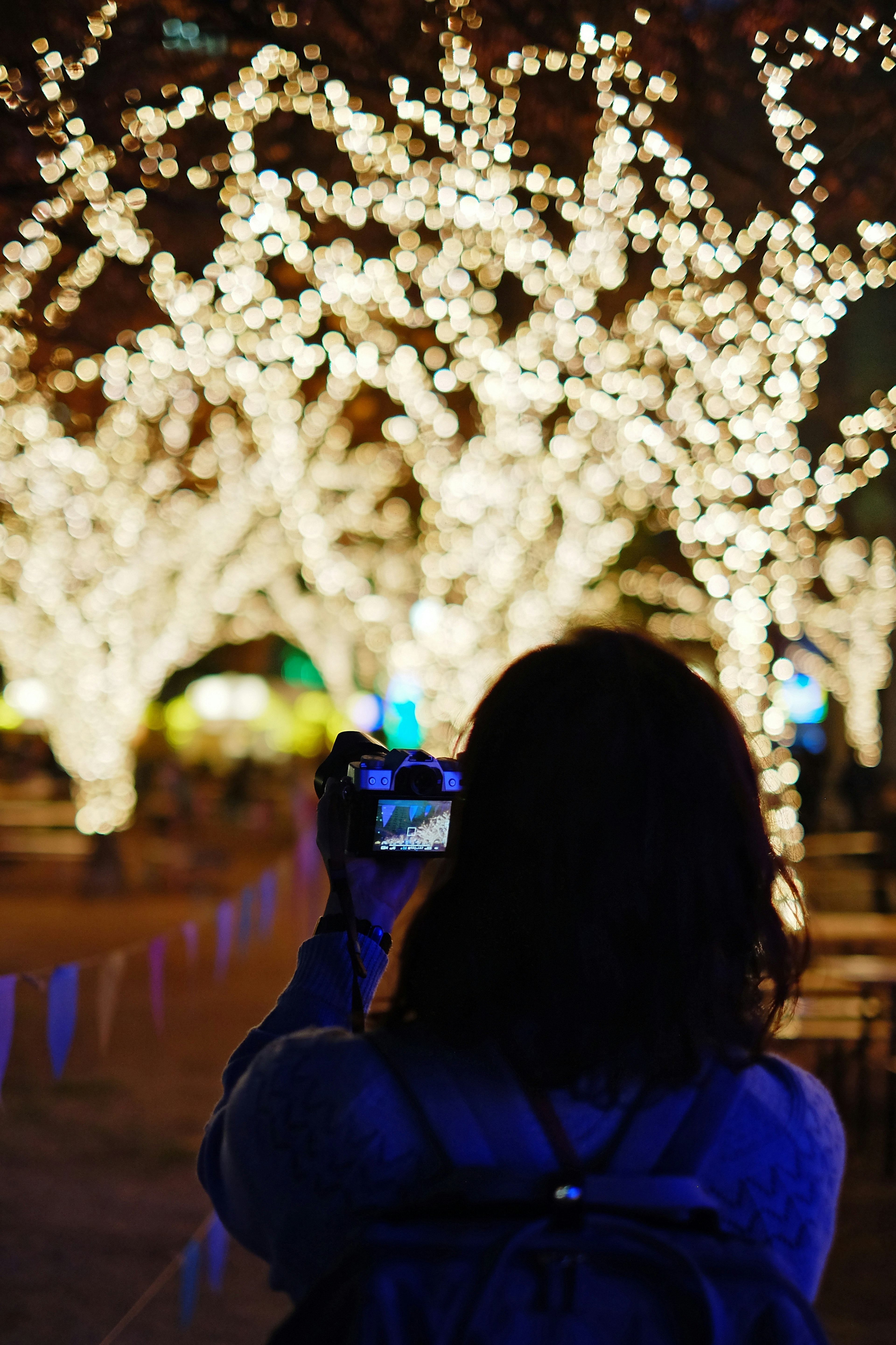 Una donna che tiene una macchina fotografica davanti a alberi decorati con luci di notte