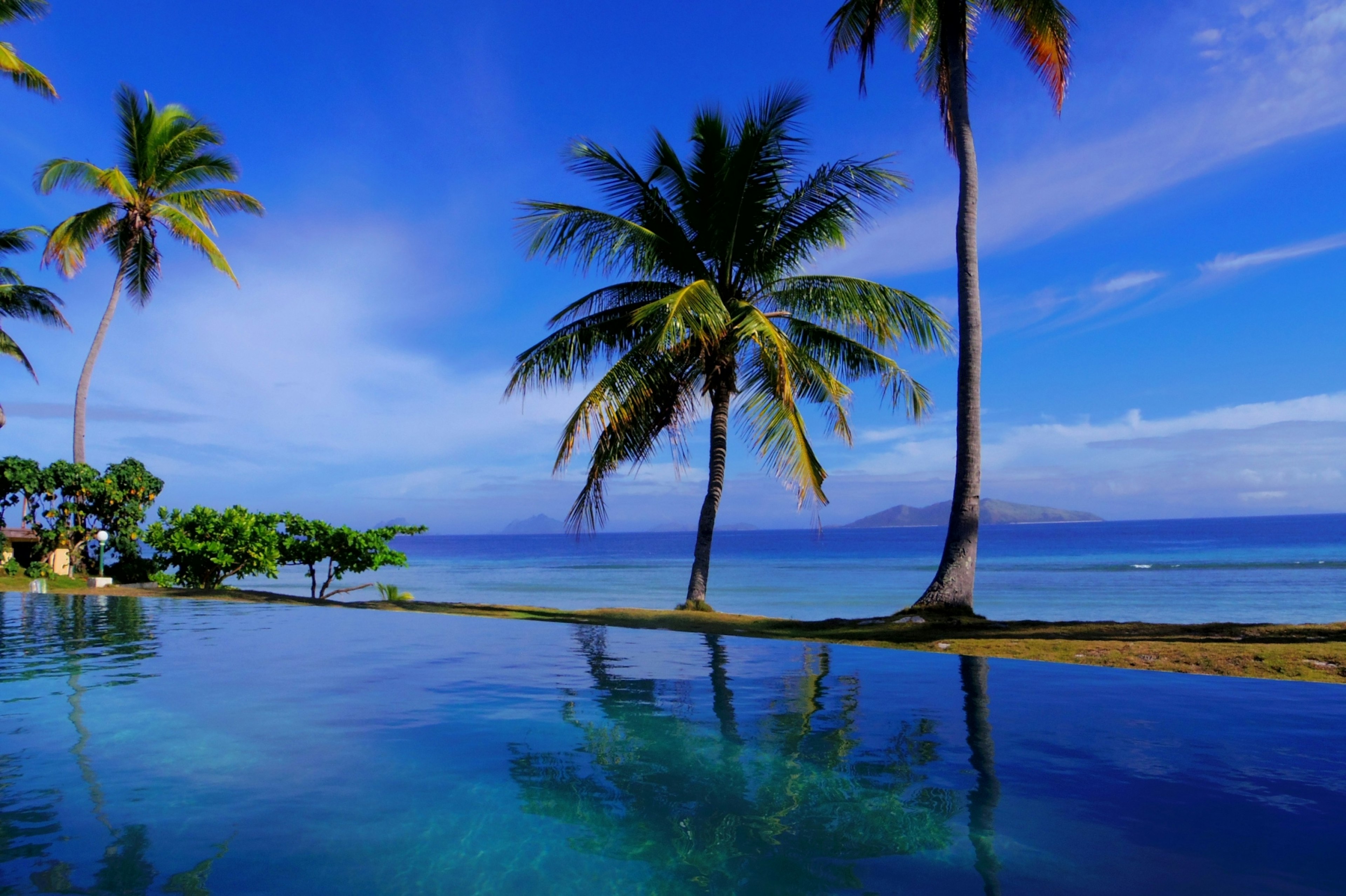 Pemandangan kolam renang yang mencerminkan langit biru dan pohon palem dengan lautan di latar belakang