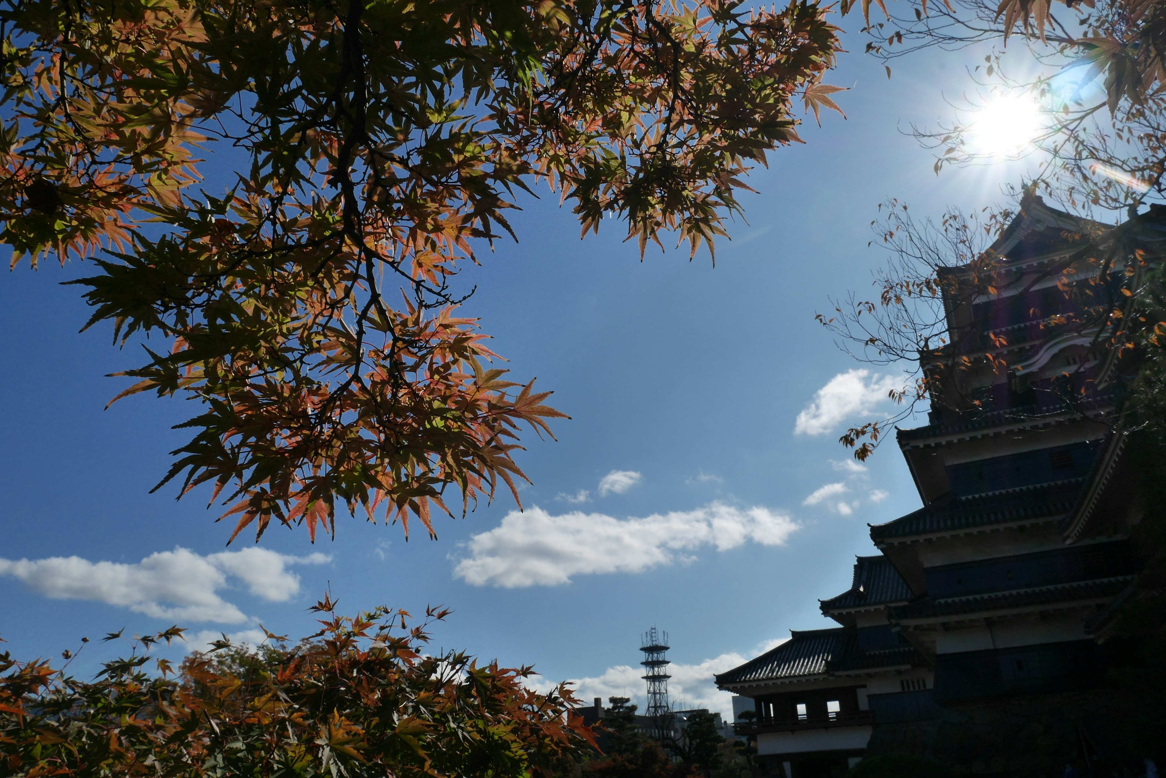 青空と秋の葉を背景にした伝統的な日本の建物