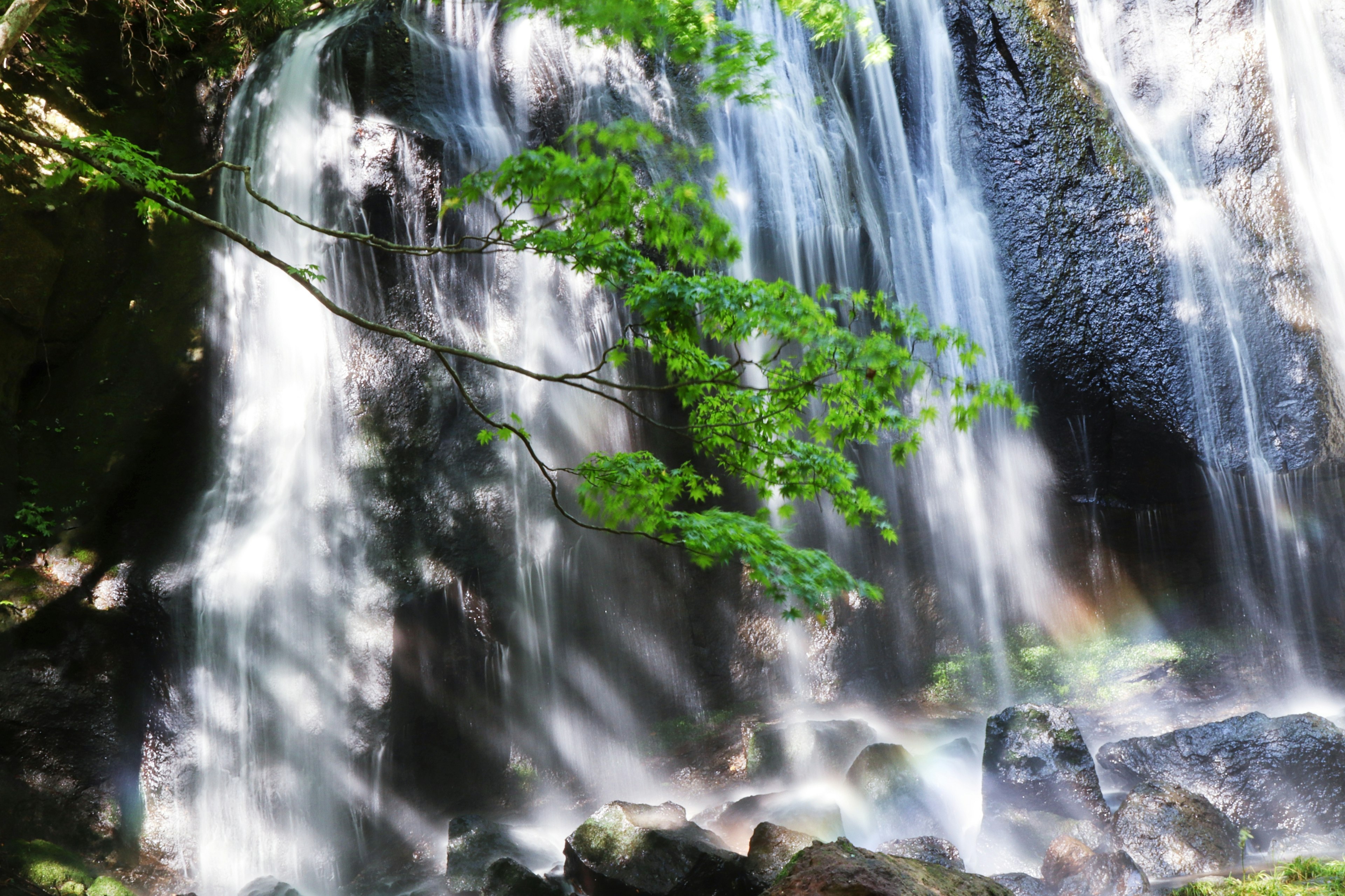 Une belle scène naturelle avec une cascade et des feuilles vertes luxuriantes