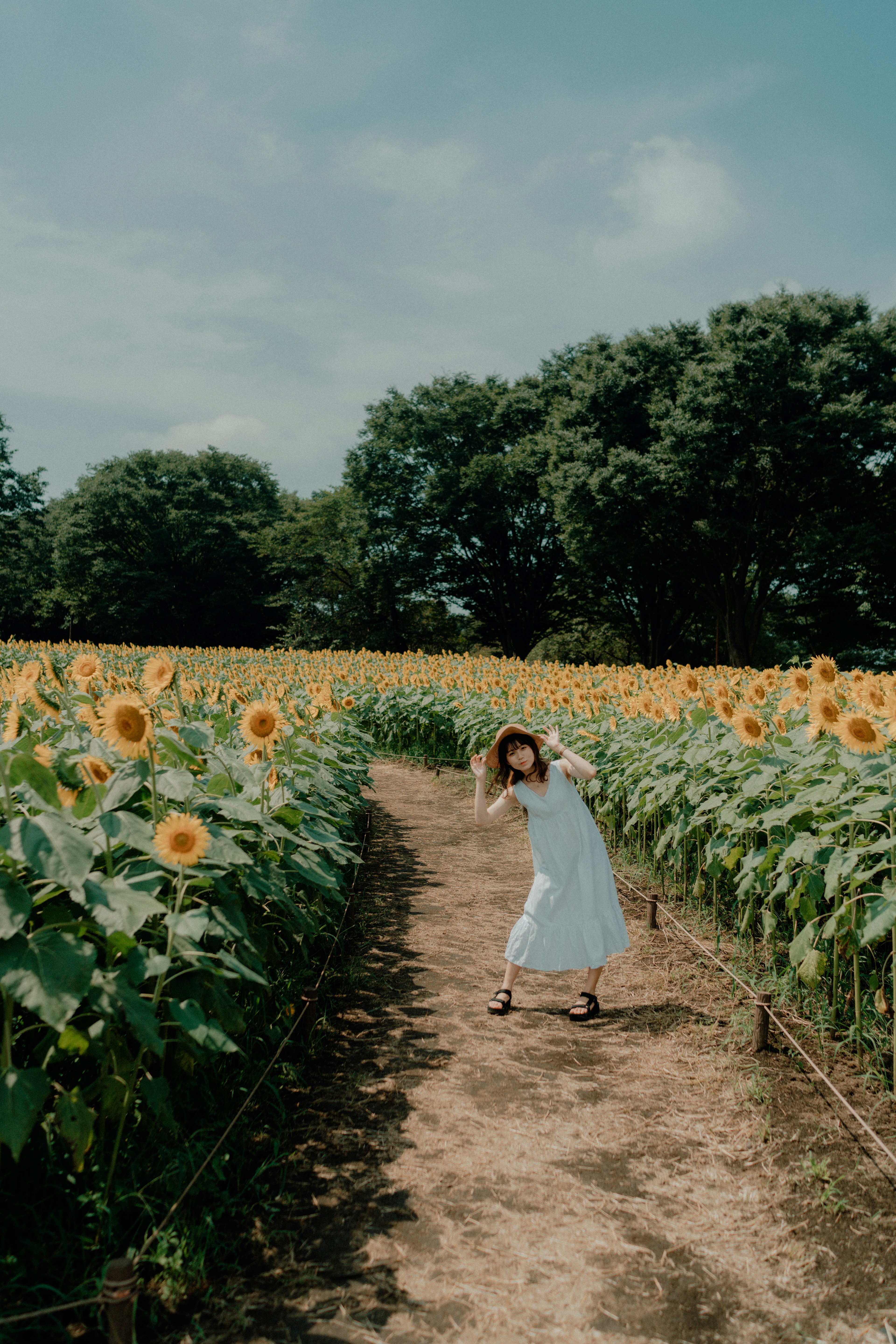 A woman posing in a sunflower field