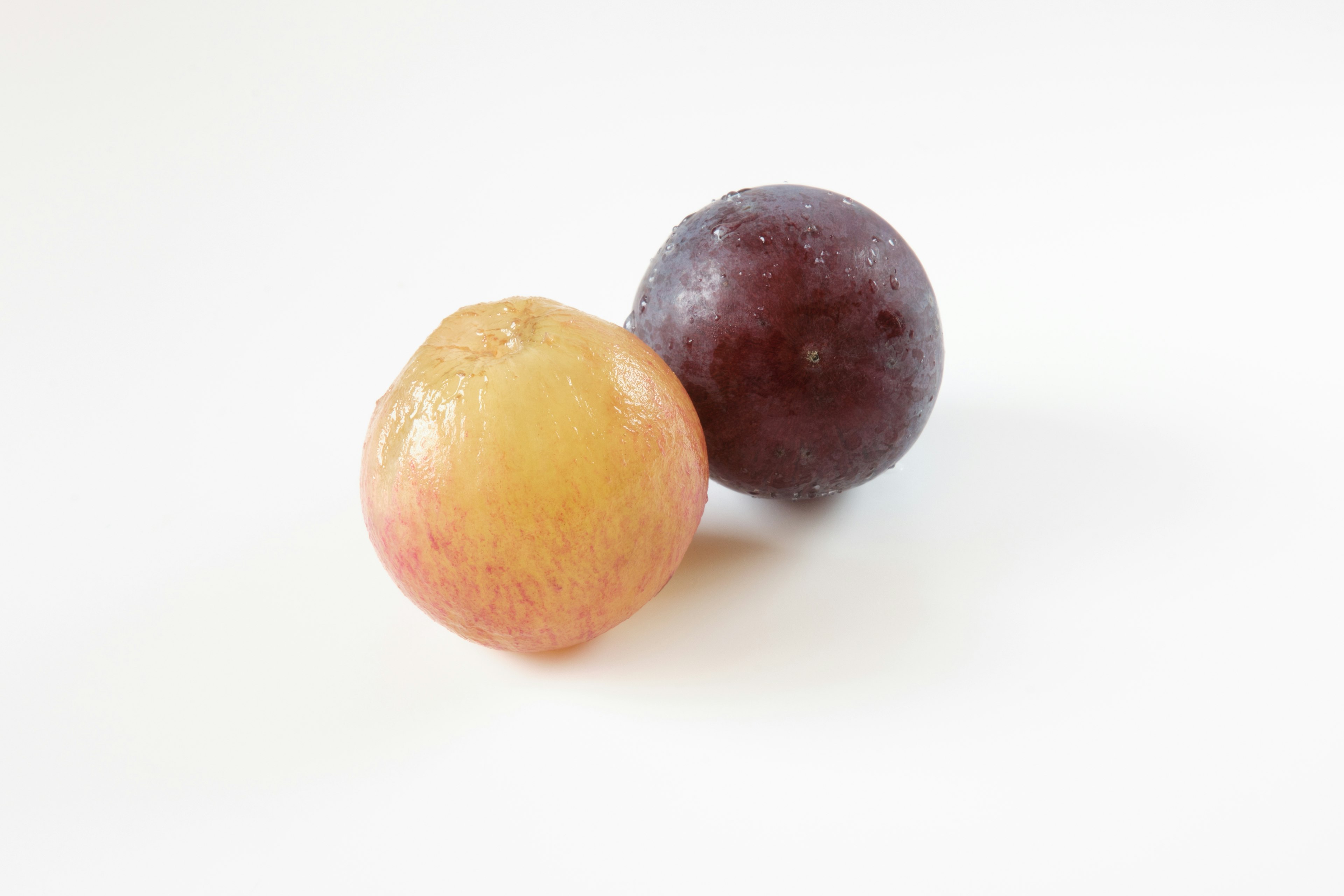 Two fruits placed on a white background