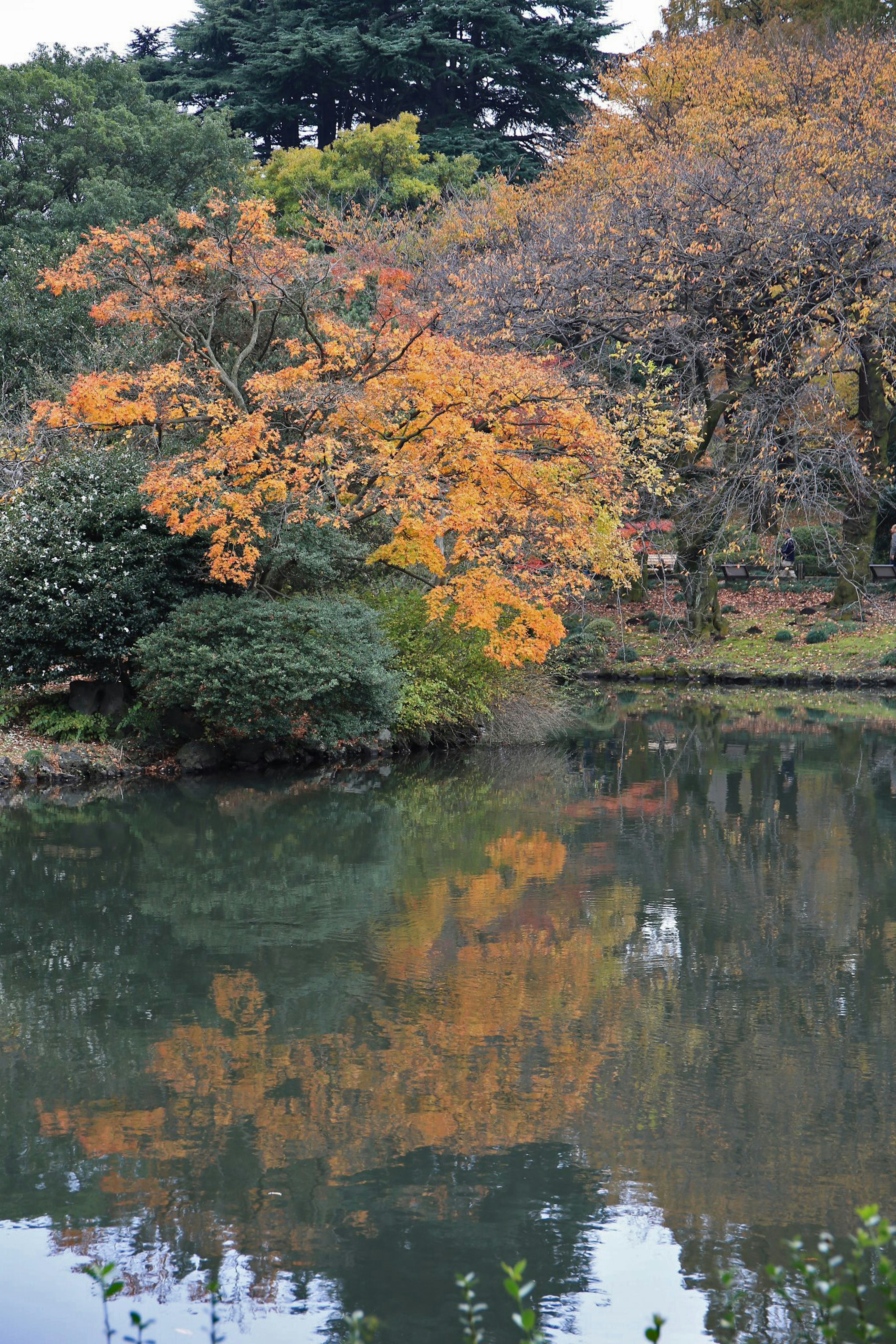 Herbstlaub spiegelt sich in einem ruhigen Teich