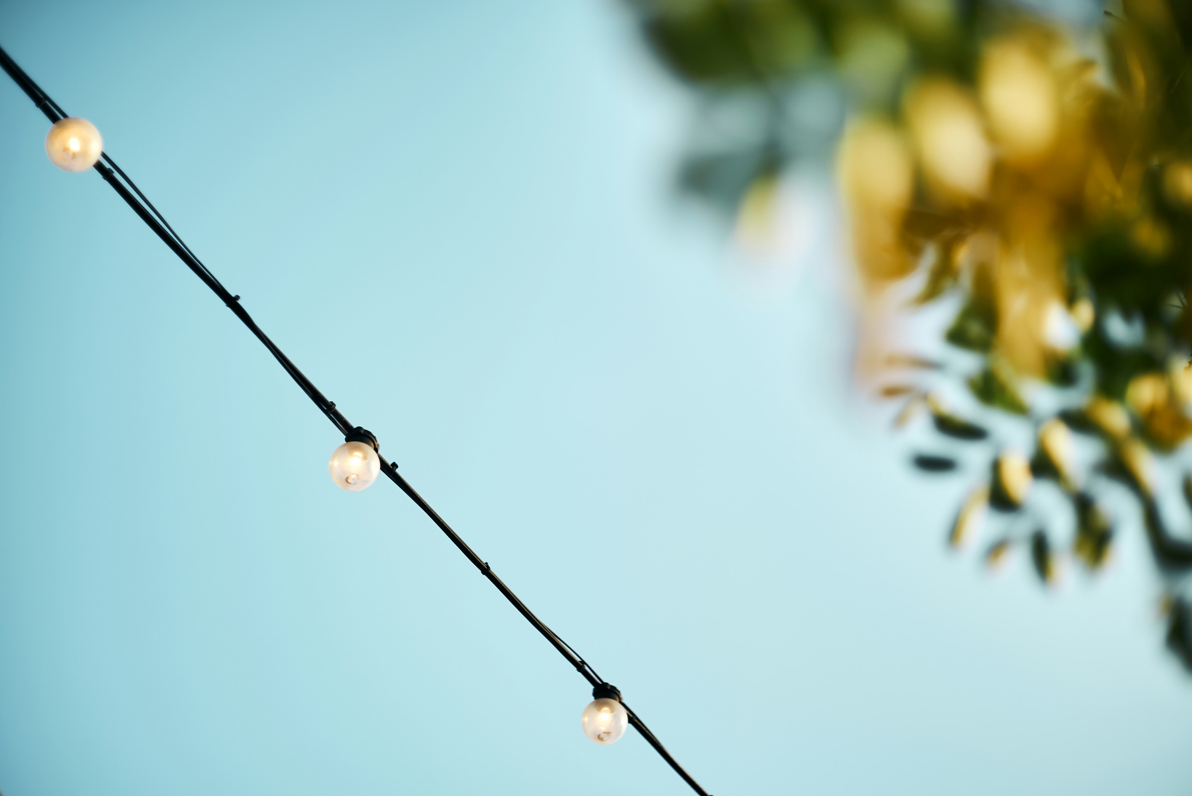 Warm lights hanging under a blue sky with green leaves