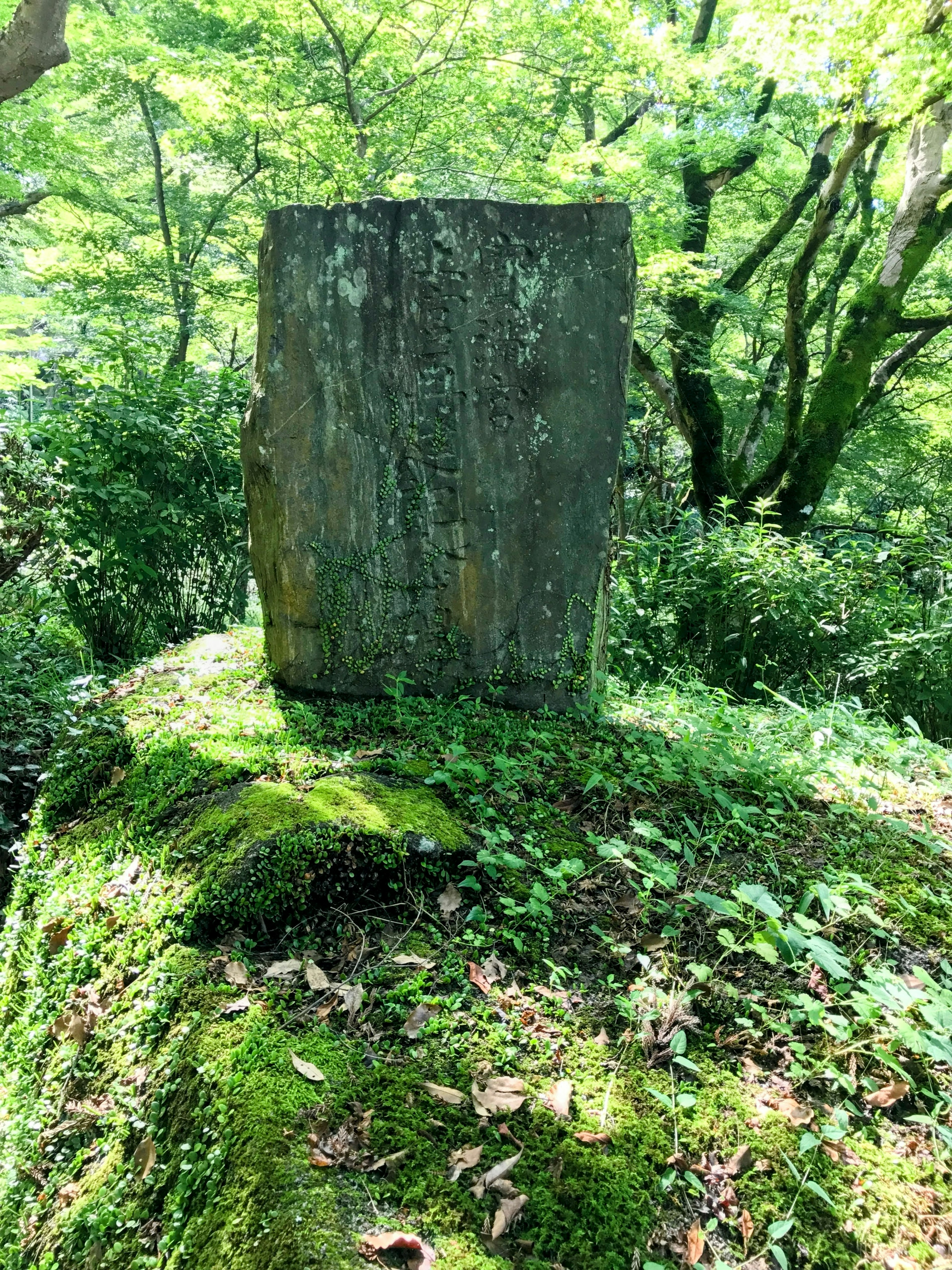 Large stone monument standing in a green forest covered with moss