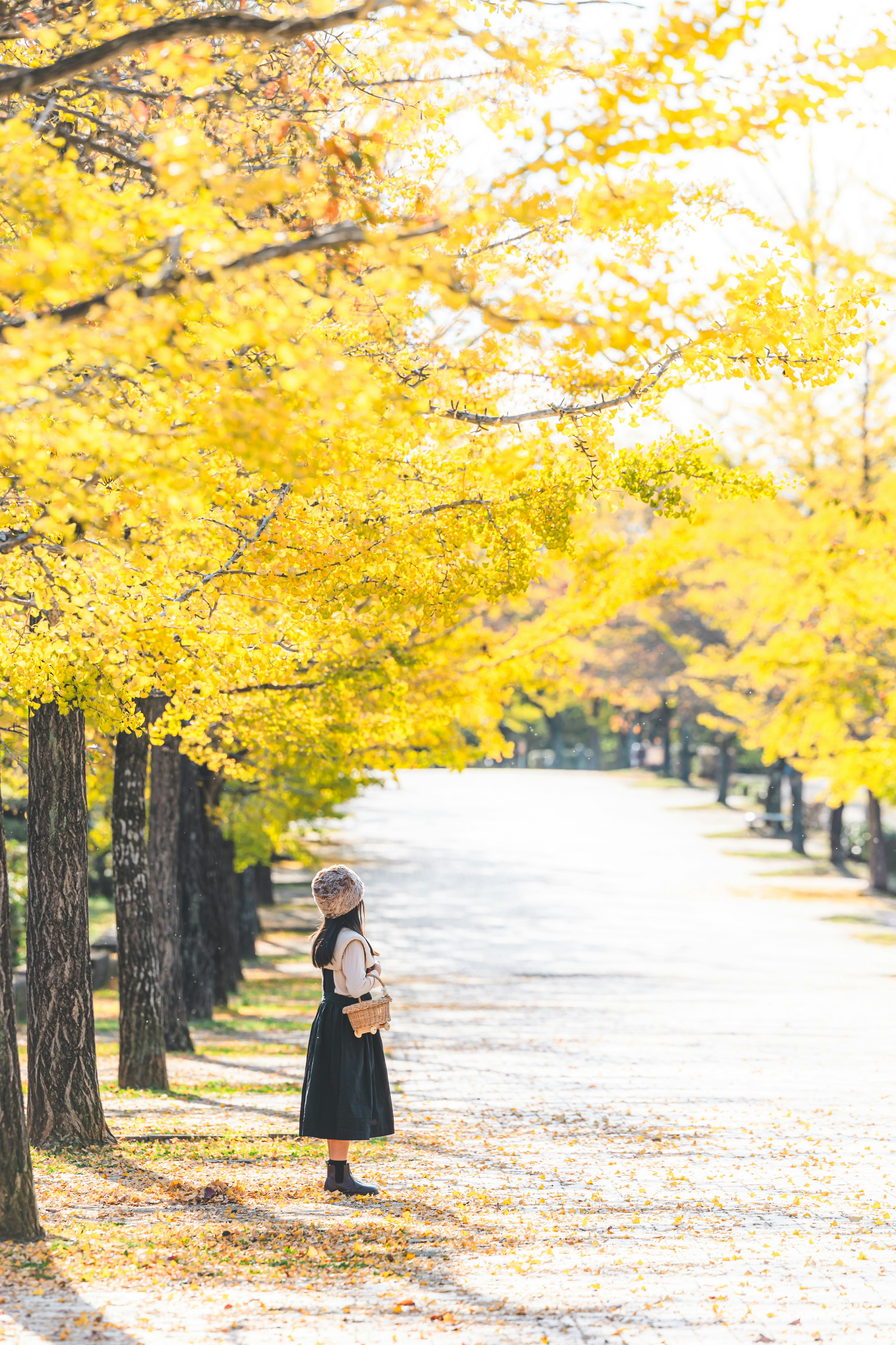 Eine Frau steht in einer schönen herbstlichen Allee, die von gelben Ginkgo-Bäumen gesäumt ist