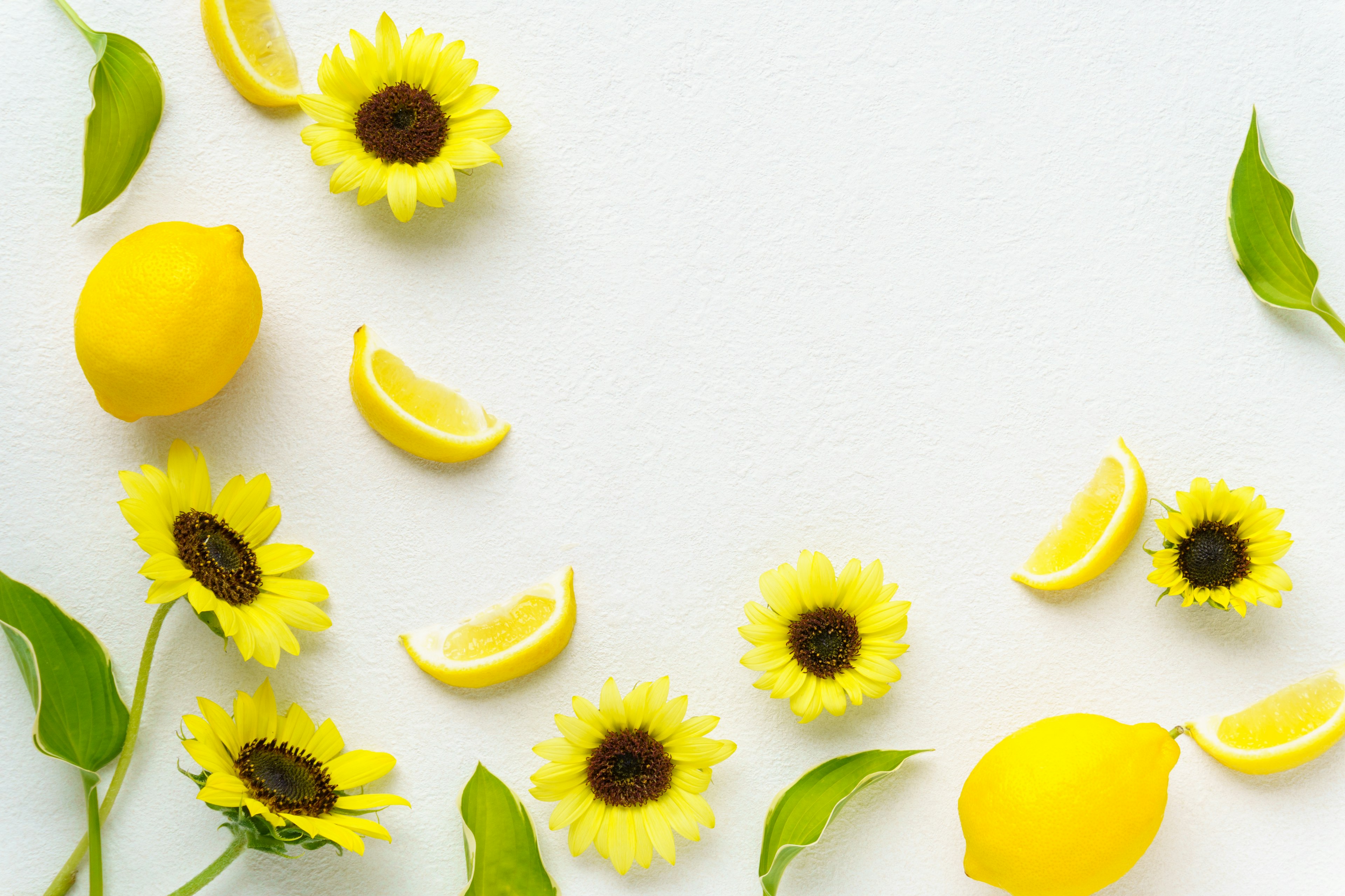 Bright yellow sunflowers and lemons arranged in a beautiful display