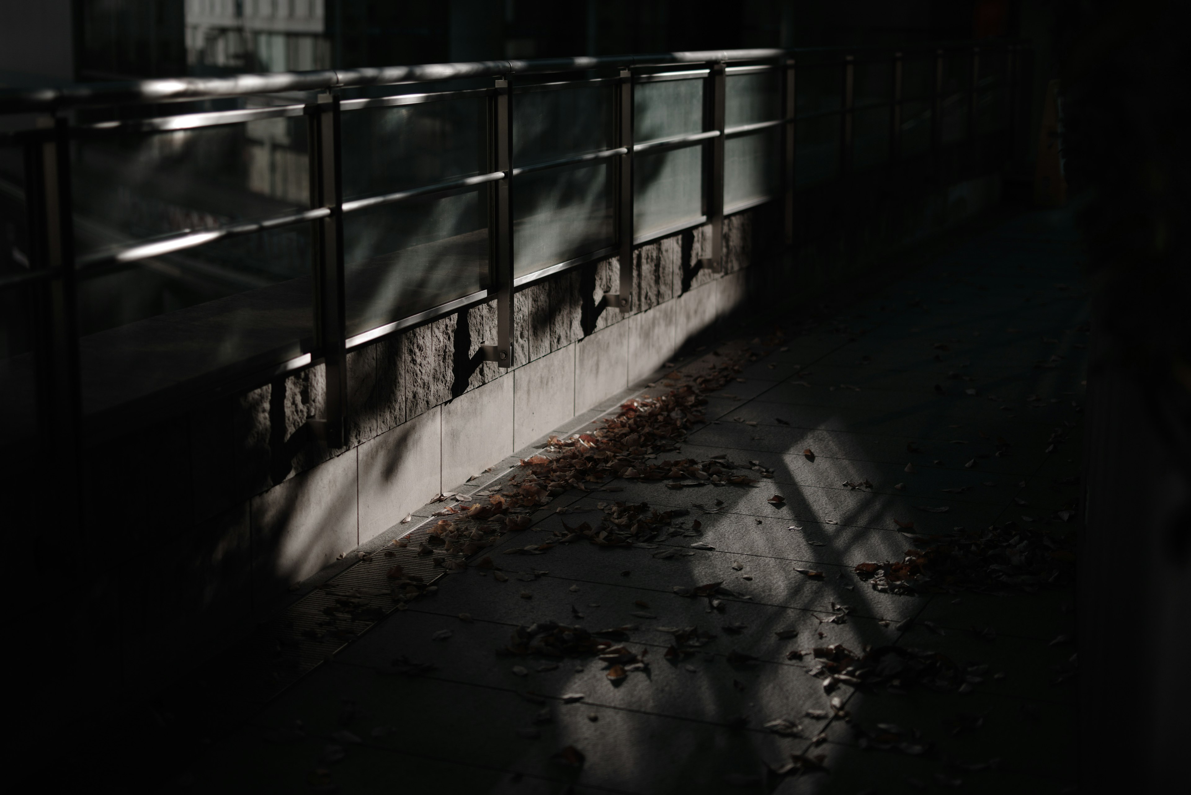 Dunkler Bereich mit einem Glasgeländer und Schatten von Blättern auf dem Boden