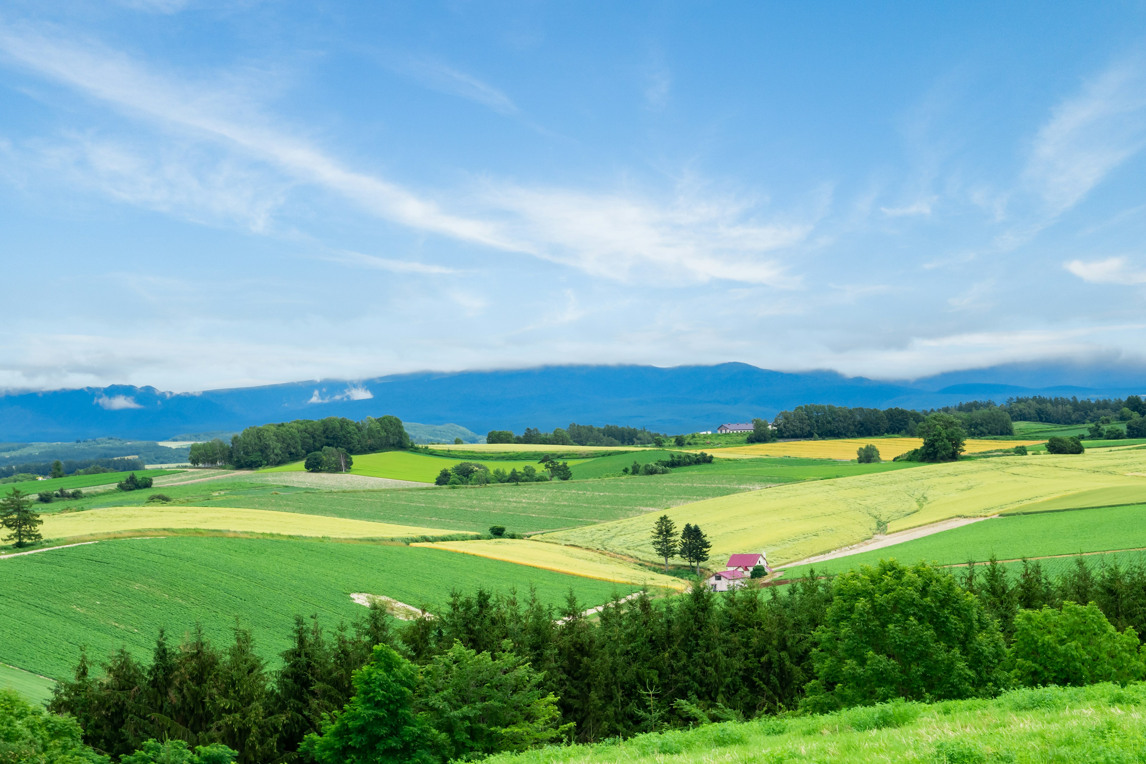 A scenic view of rolling green fields under a blue sky with a small red house