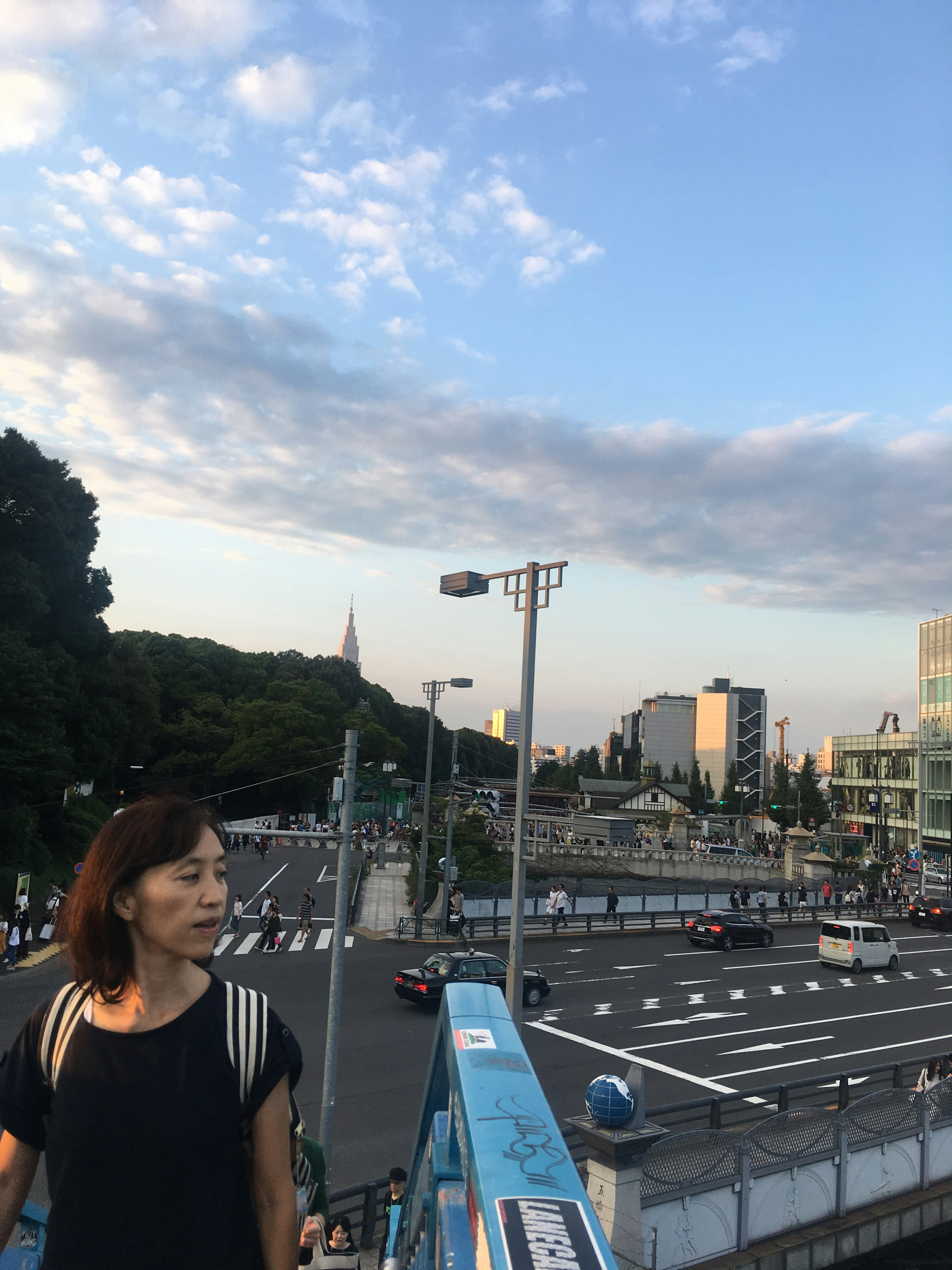 Una donna in piedi su un ponte che osserva un paesaggio urbano di Tokyo al tramonto