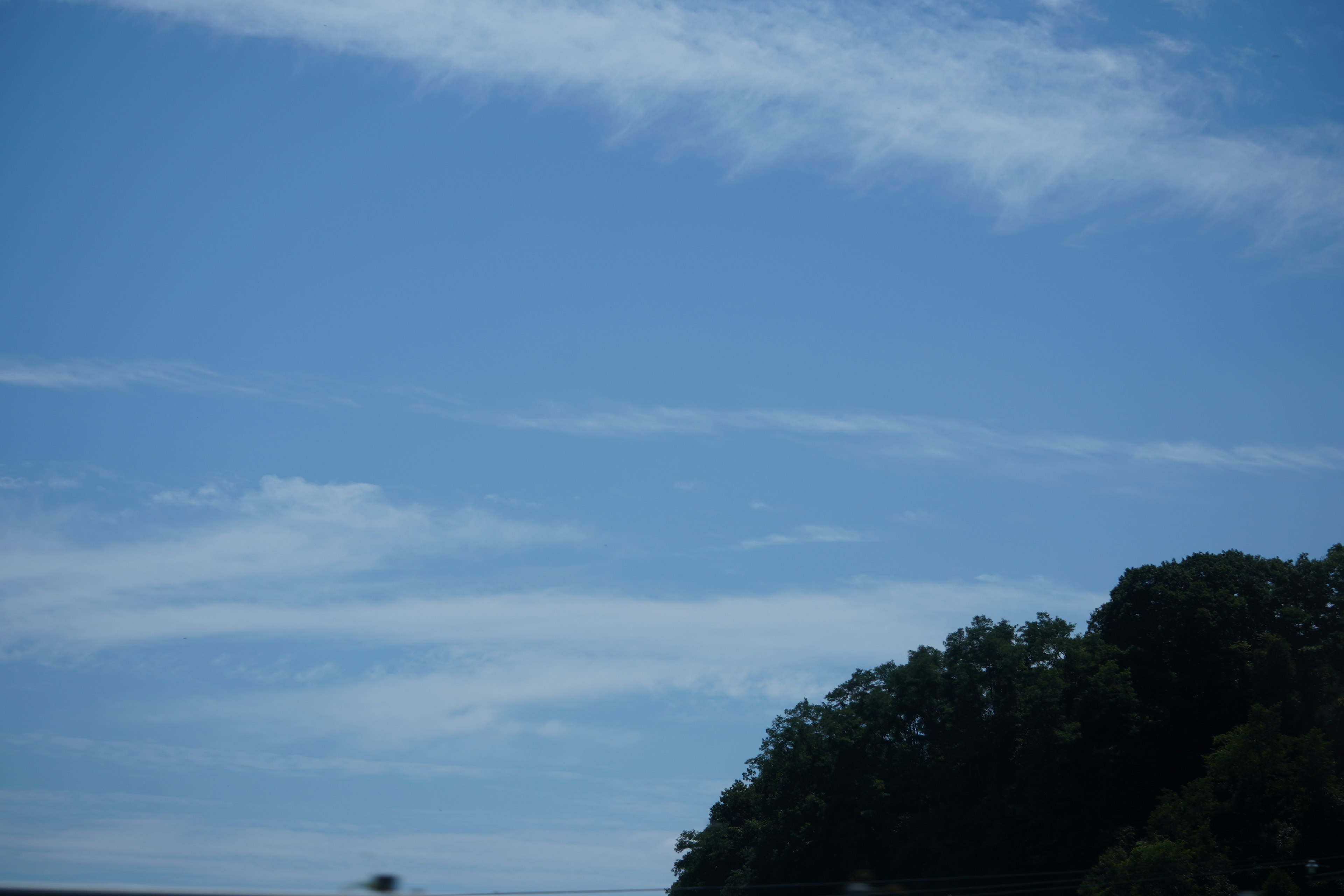 Blauer Himmel mit weißen Wolken über grünen Bäumen