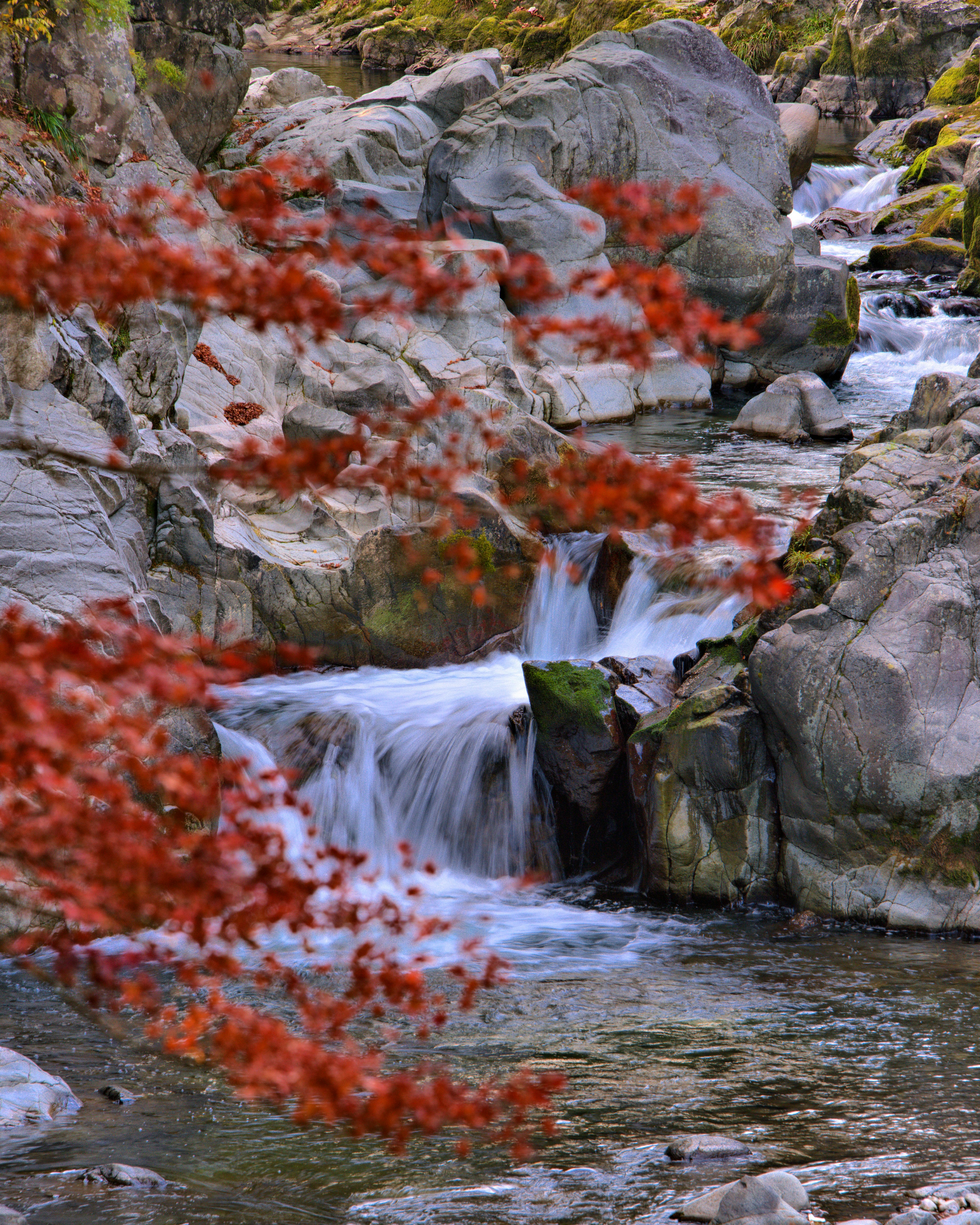 紅葉と岩の間を流れる清らかな小川の風景