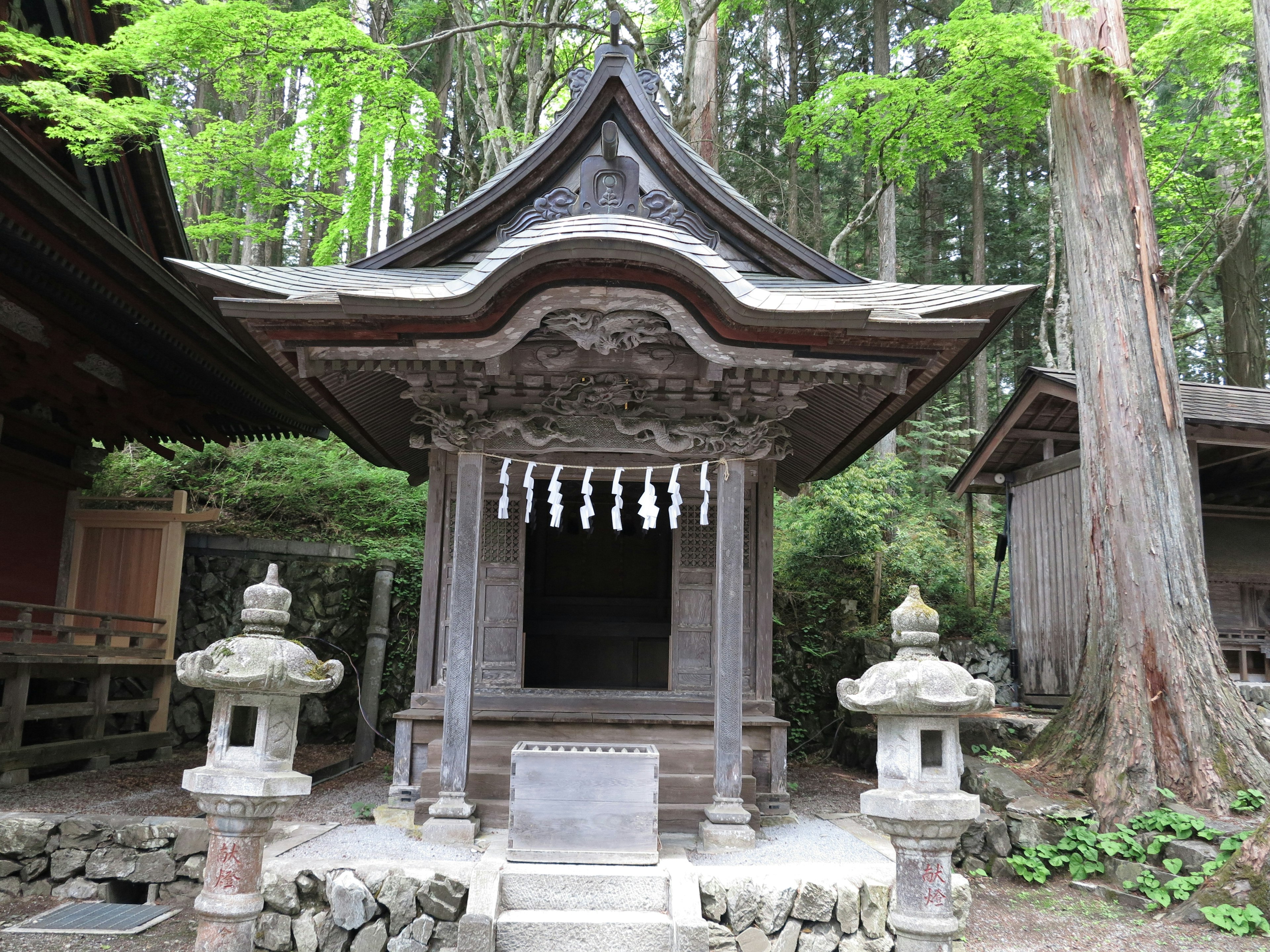 Traditional shrine building in a tranquil forest with stone lanterns