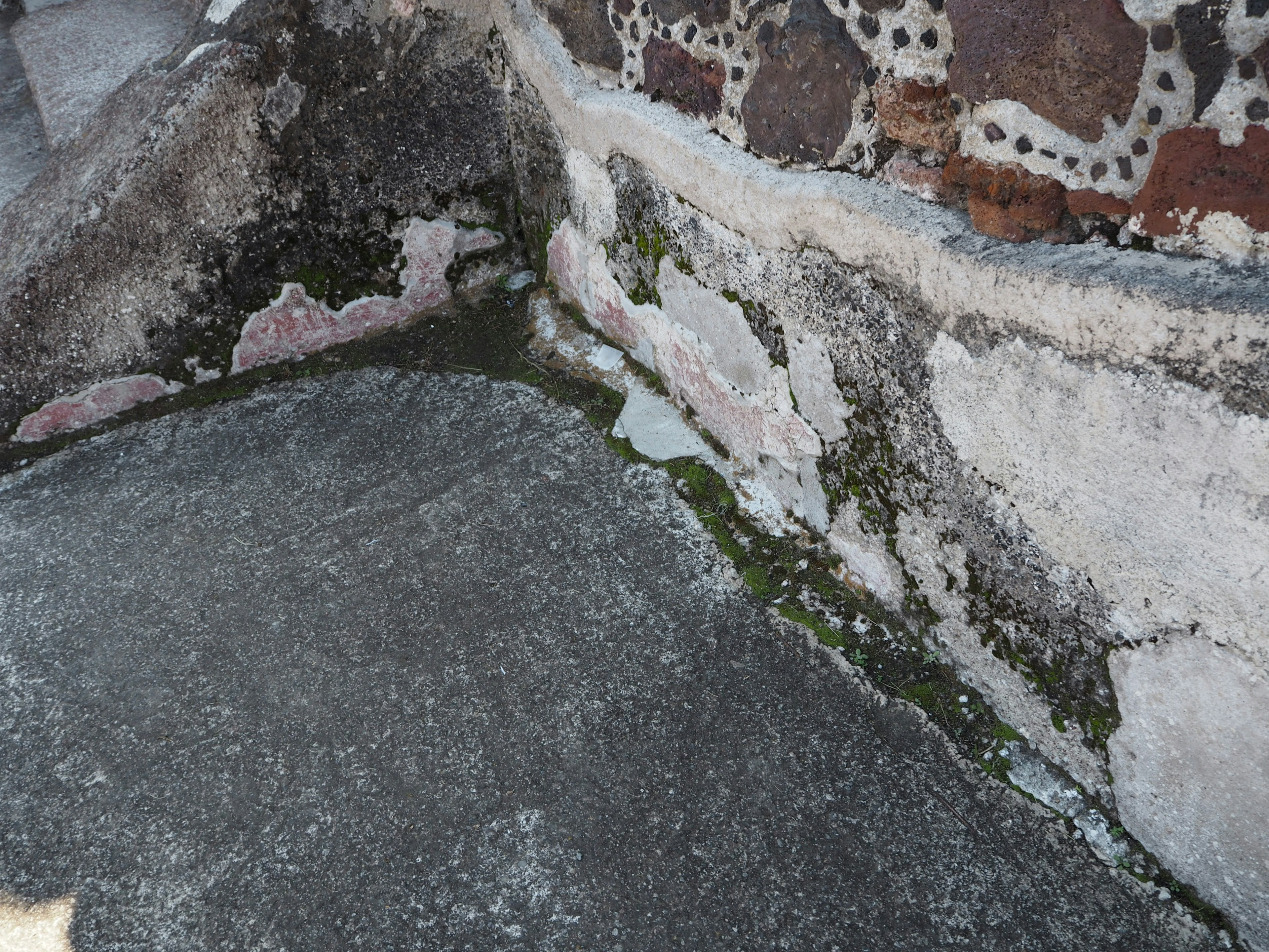 Musgo creciendo en la unión de una pared de piedra y un suelo de cemento