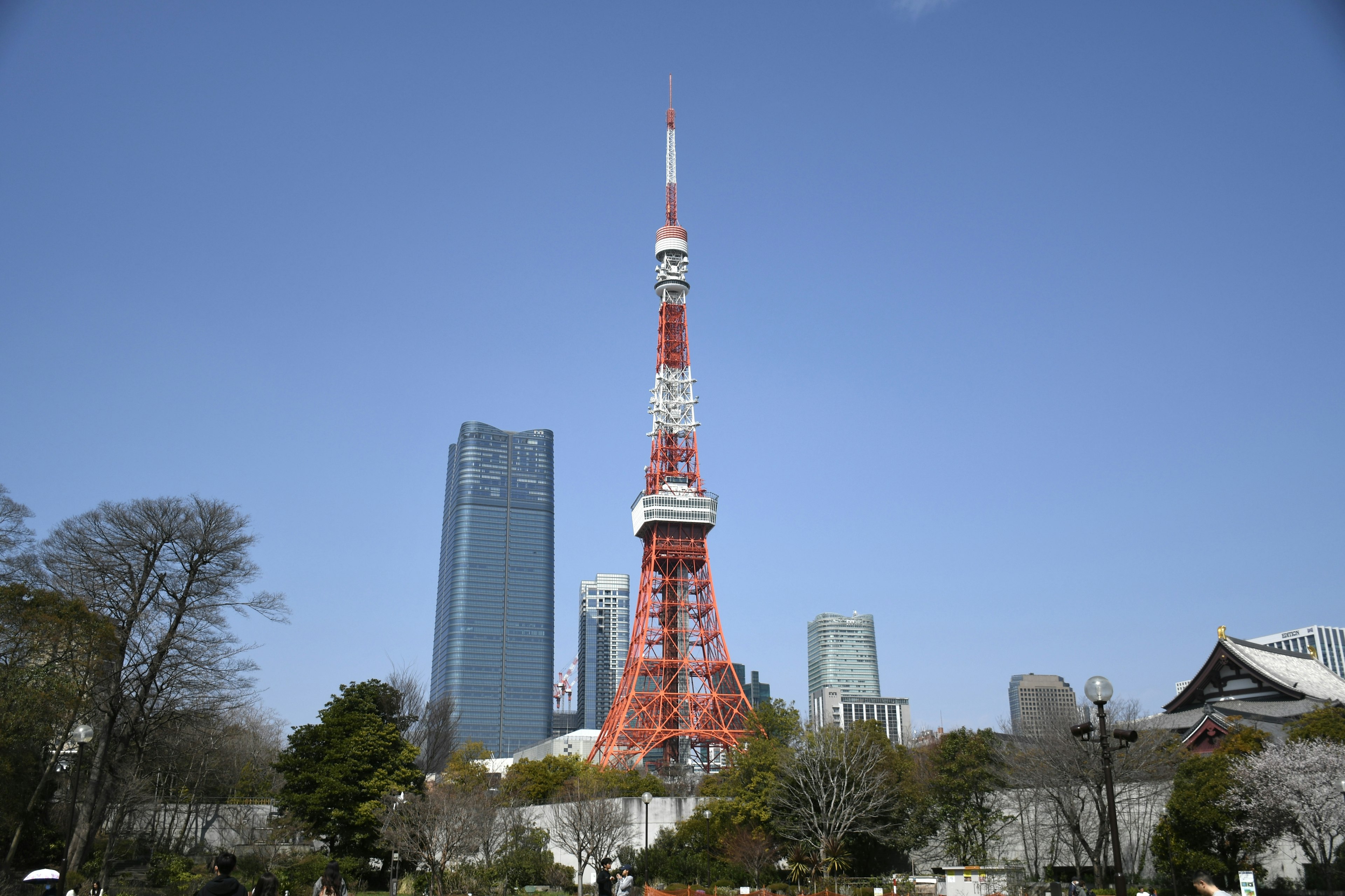 Torre di Tokyo con grattacieli circostanti e cielo blu chiaro