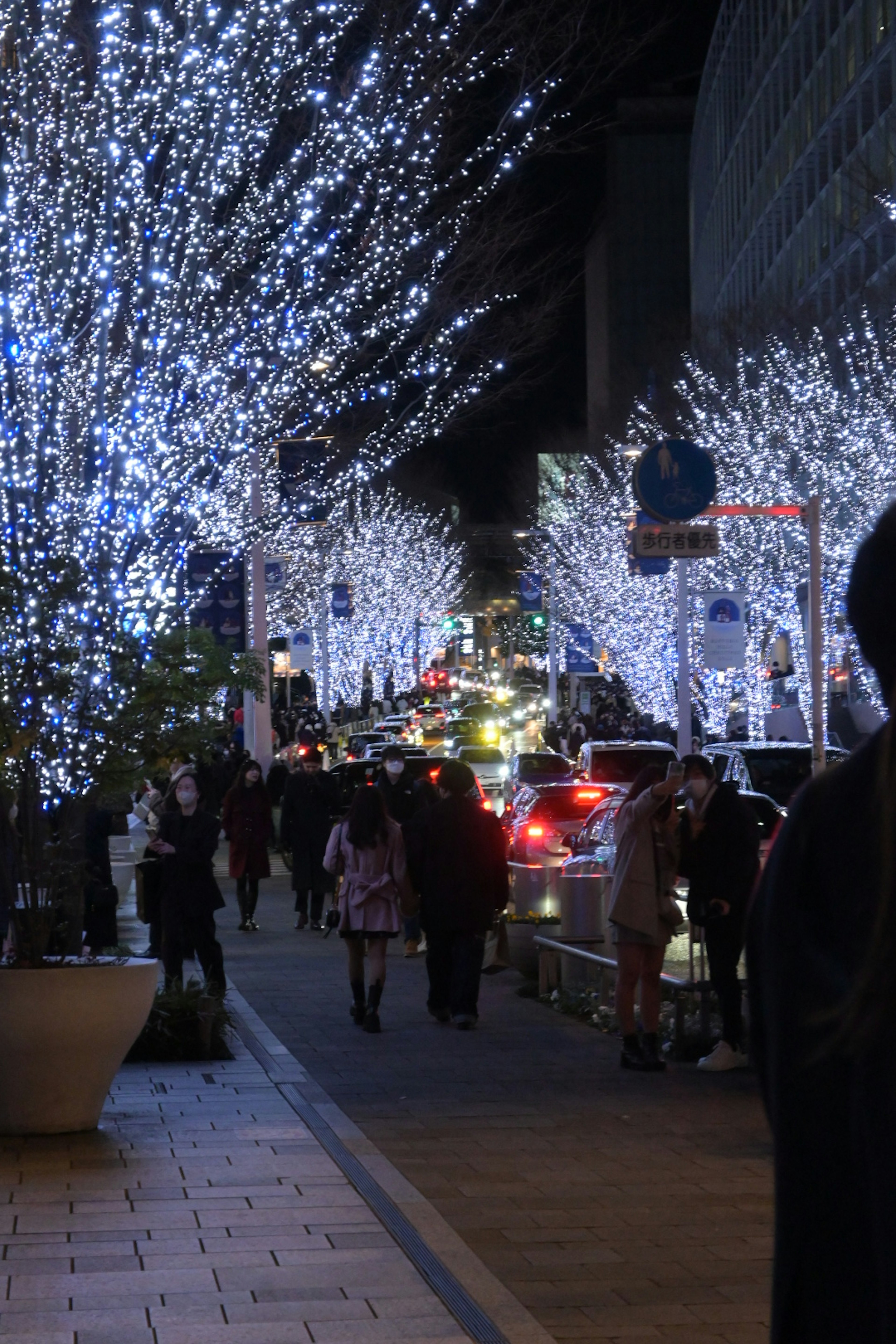 Night street with glowing blue-white illuminated trees and pedestrians