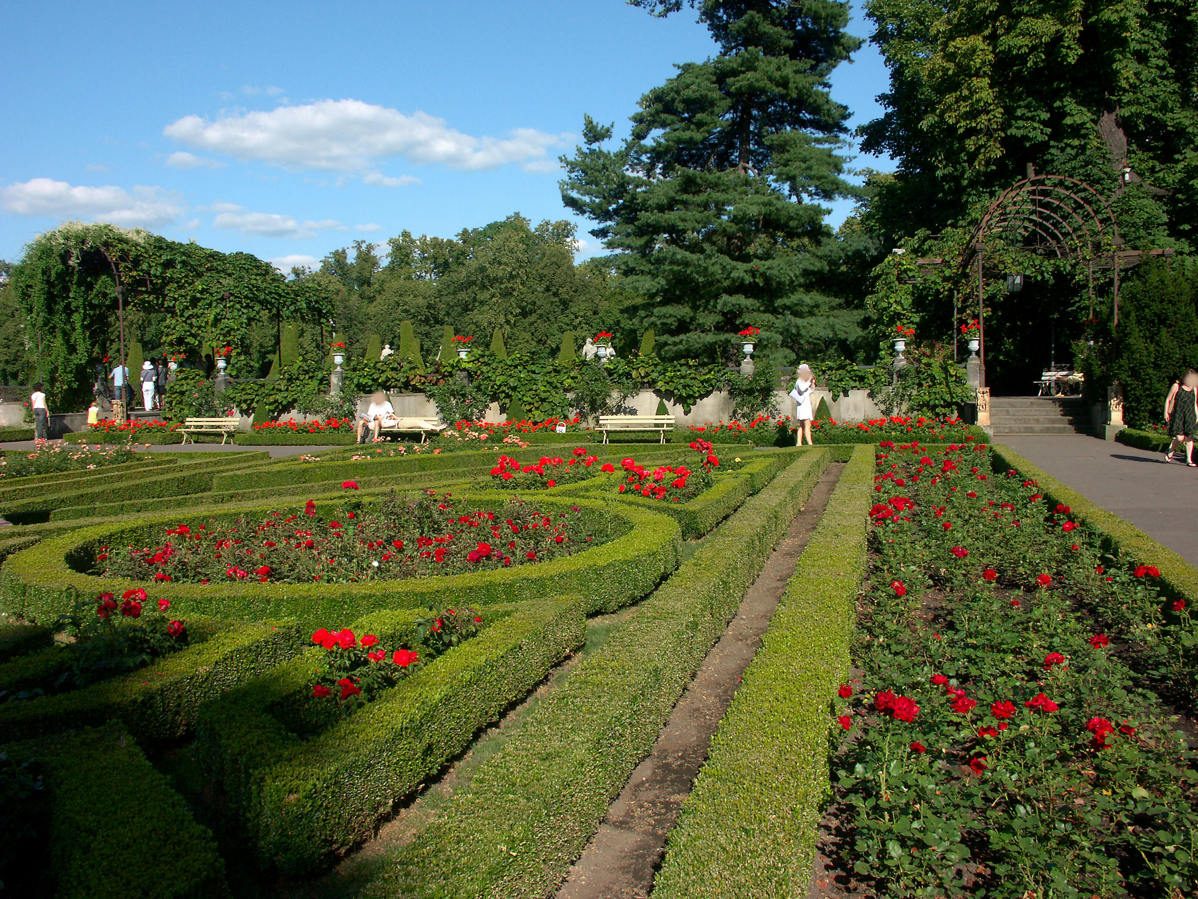 Beautiful garden scene featuring flower beds with red flowers and green hedges