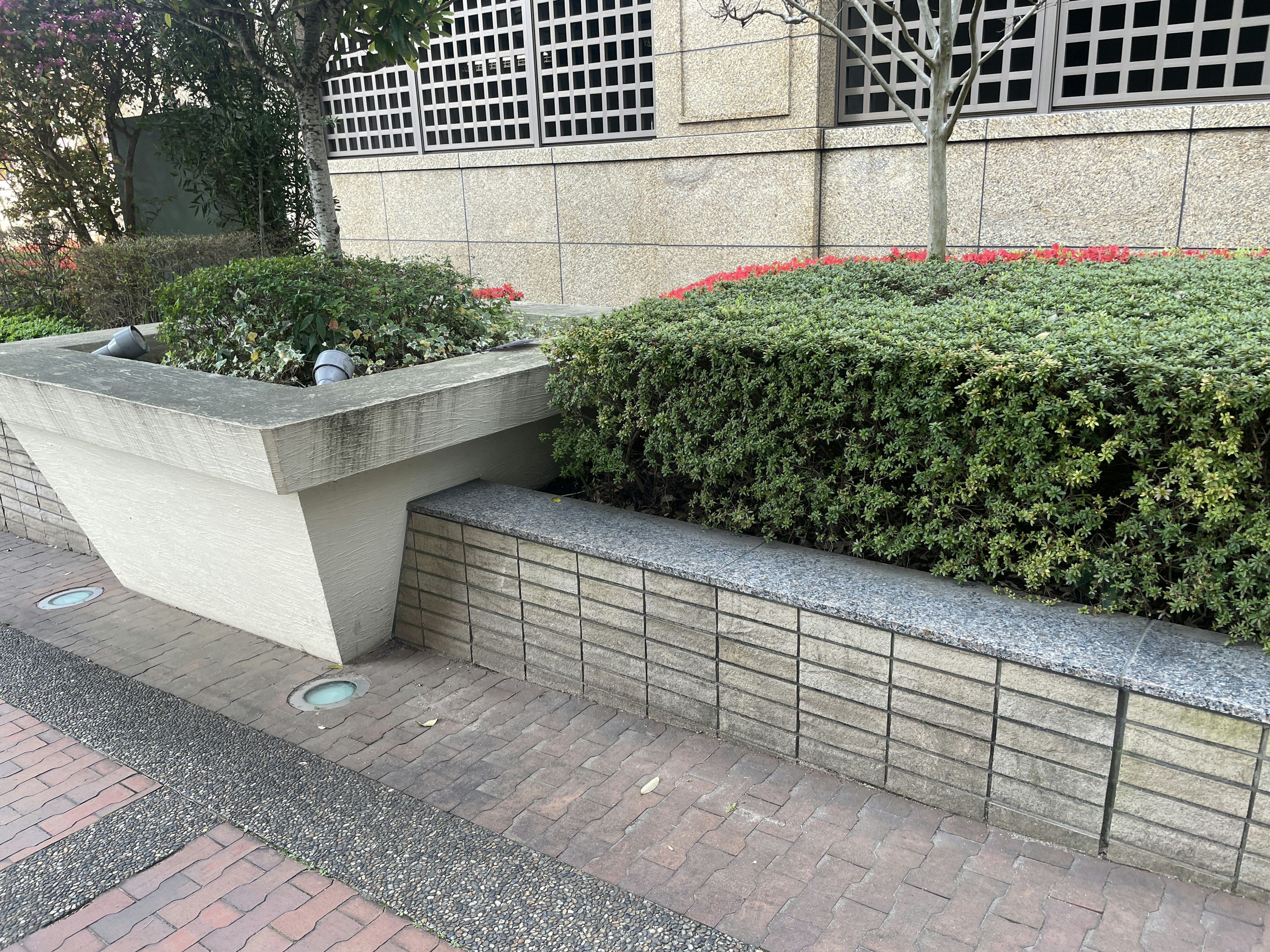 Landscape featuring landscaped bushes and a concrete bench