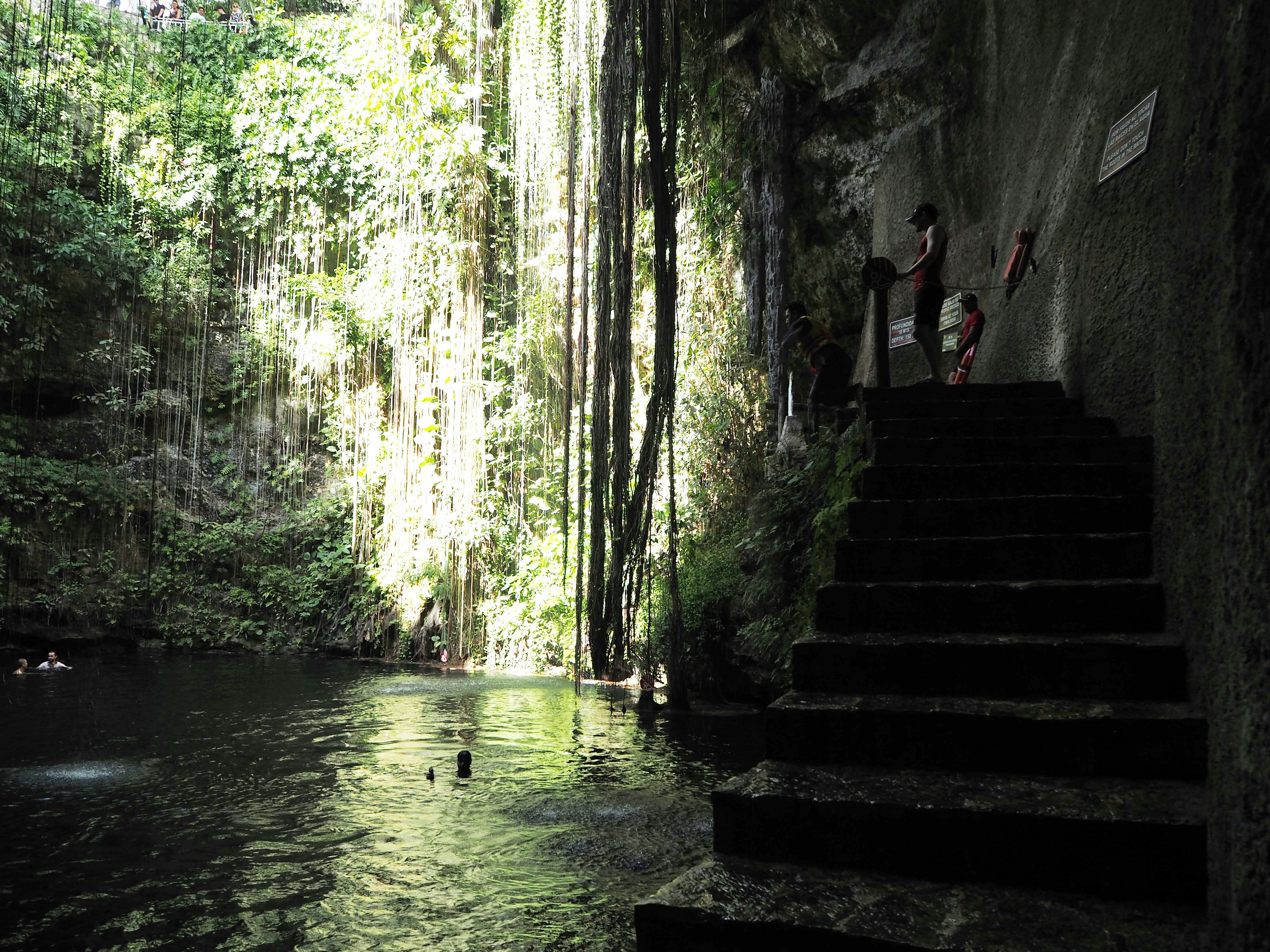 Escena serena junto al agua con escaleras de piedra y vegetación exuberante