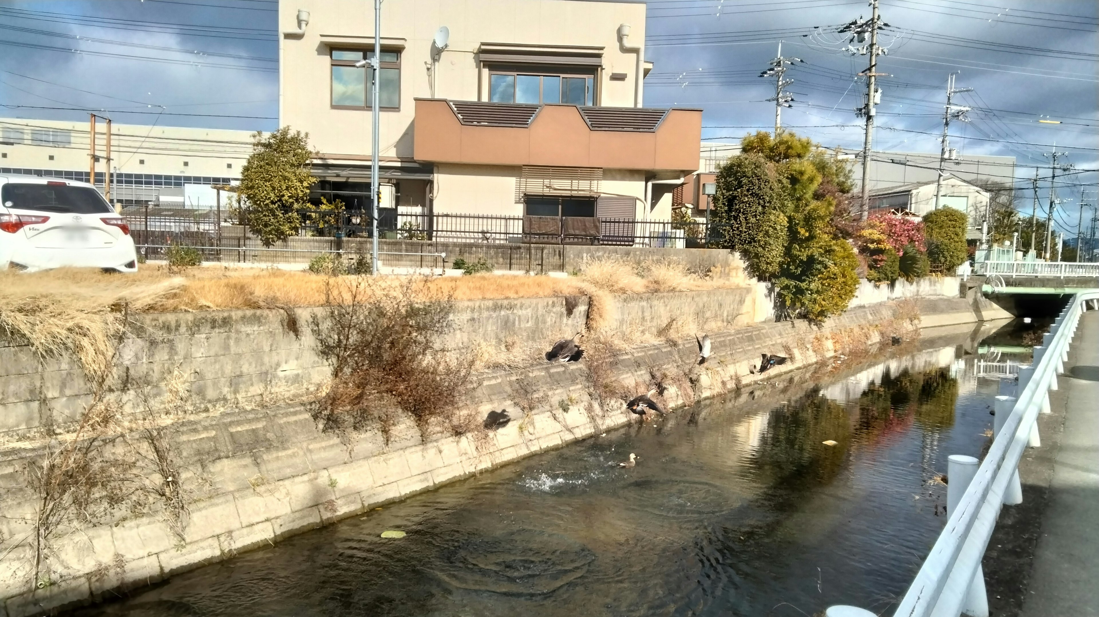 住宅街の近くに流れる小川とその周辺の風景