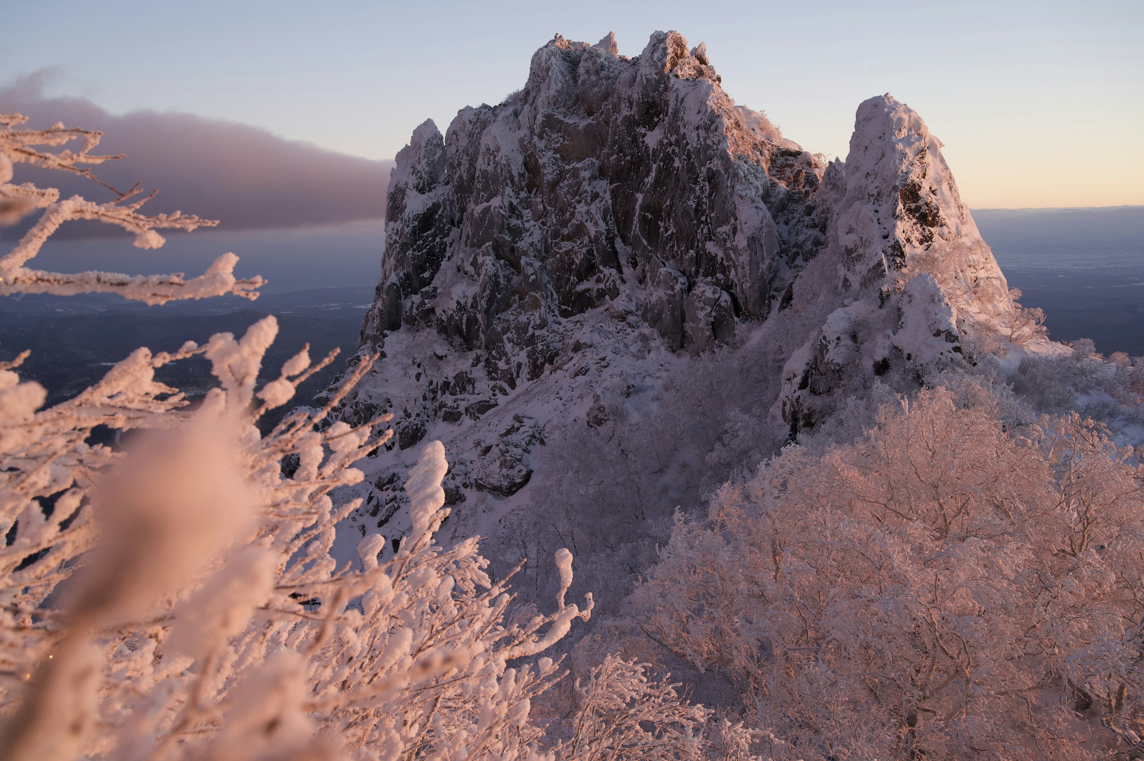 雪に覆われた山の峰と凍った木々の風景