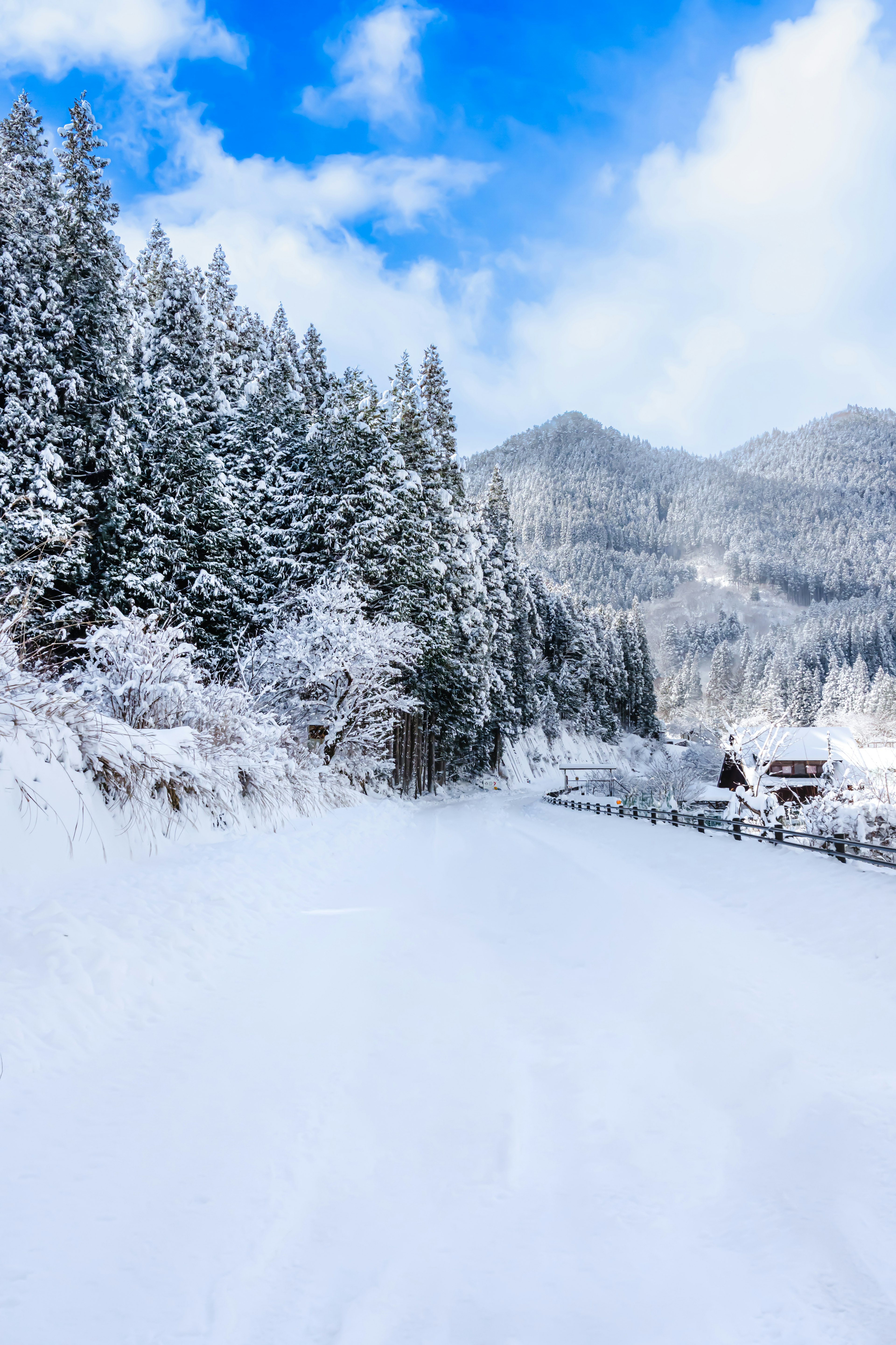 Sentiero innevato con alberi e montagne sotto un cielo blu