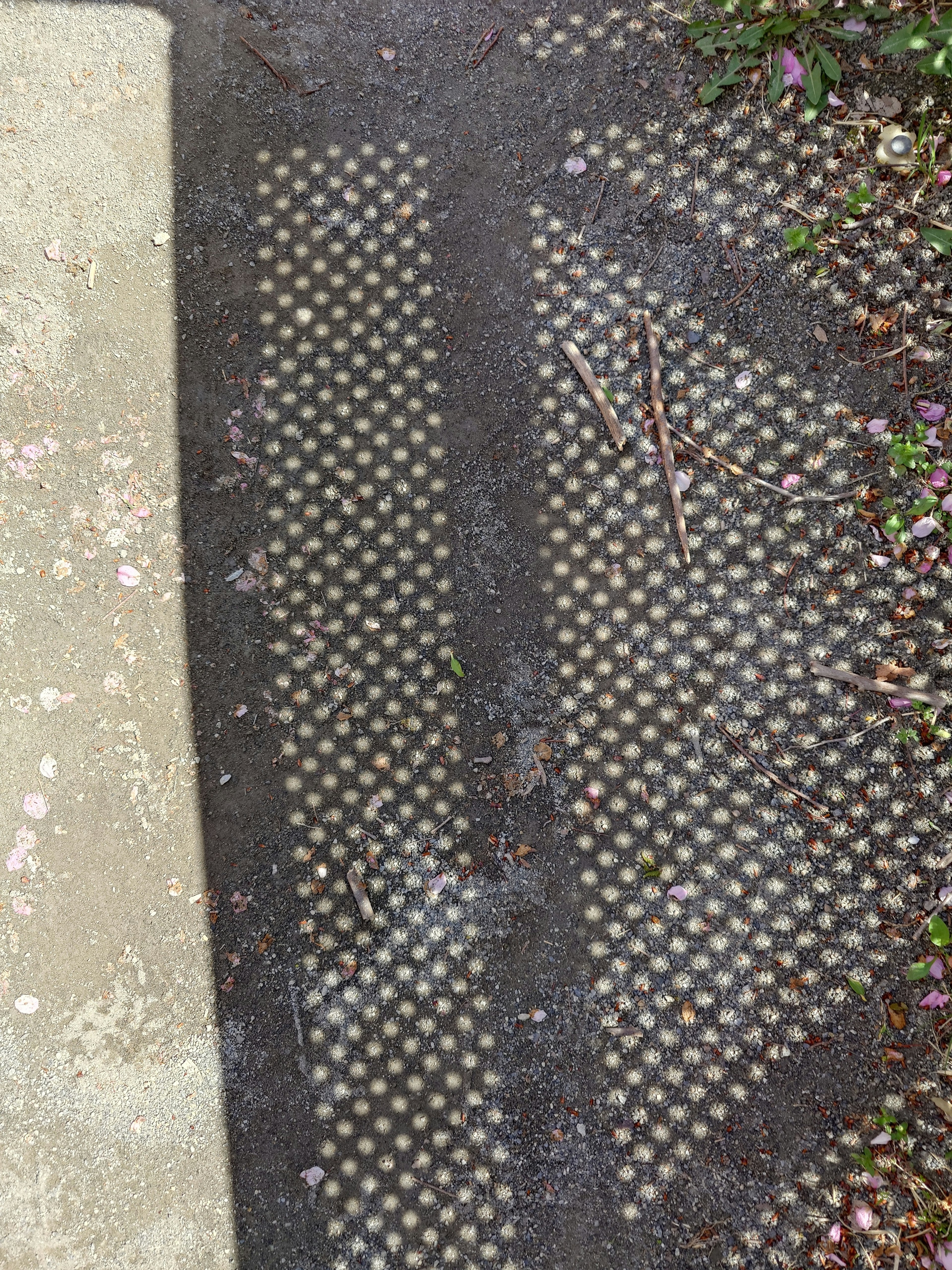 Grille métallique sur surface pavée avec herbe et débris environnants