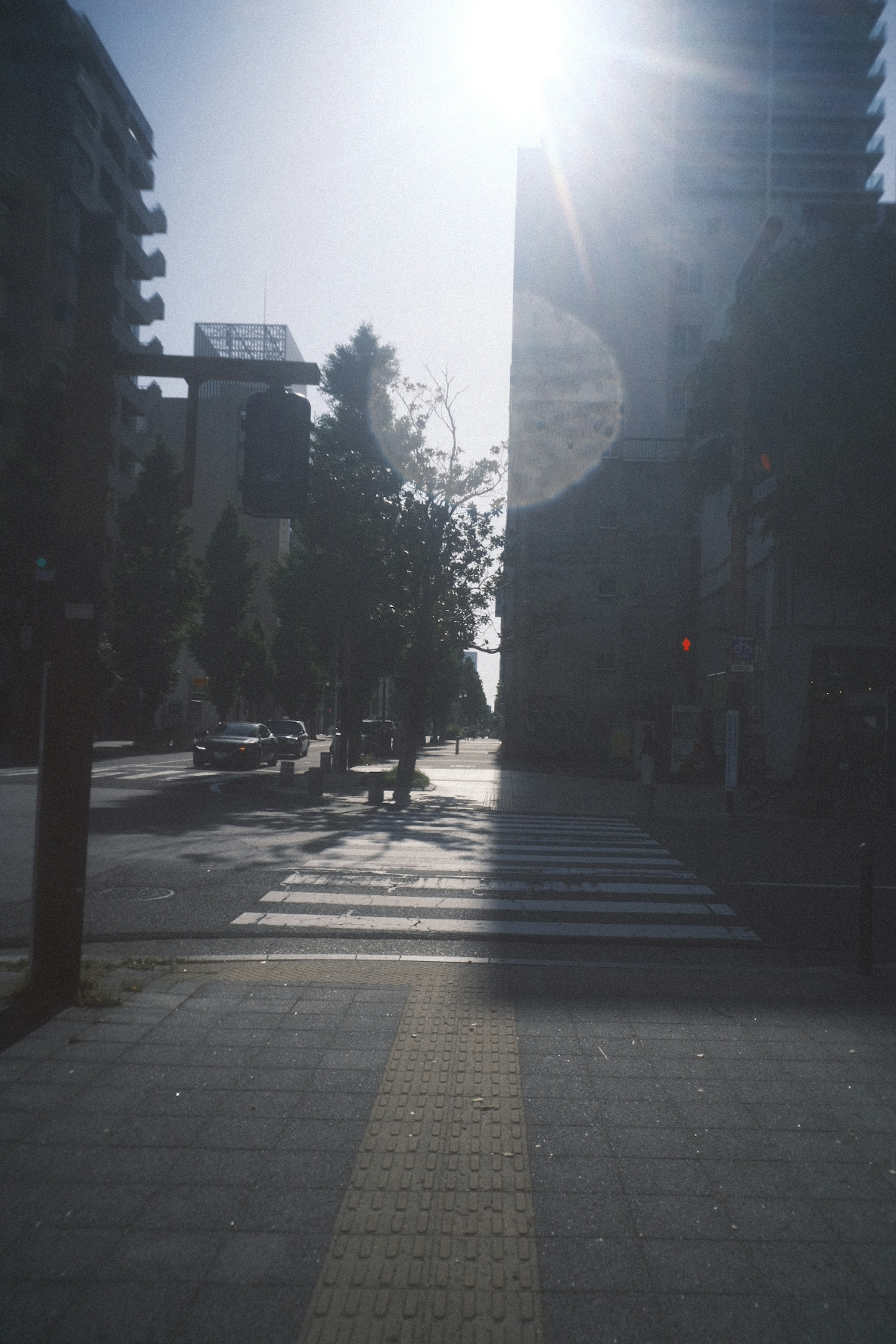 Scène d'intersection urbaine sous un soleil éclatant