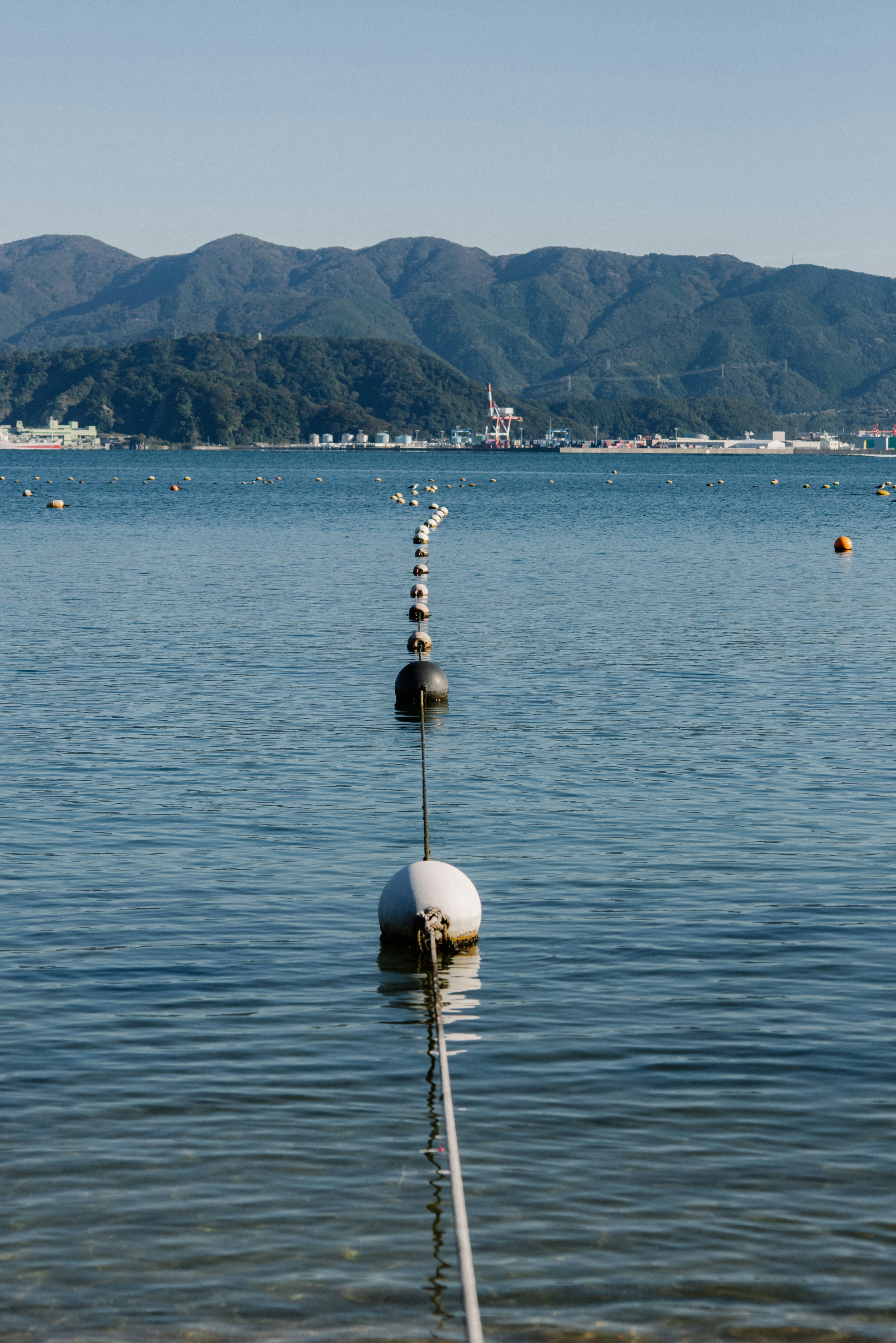 Mare calmo con boe galleggianti e montagne in lontananza