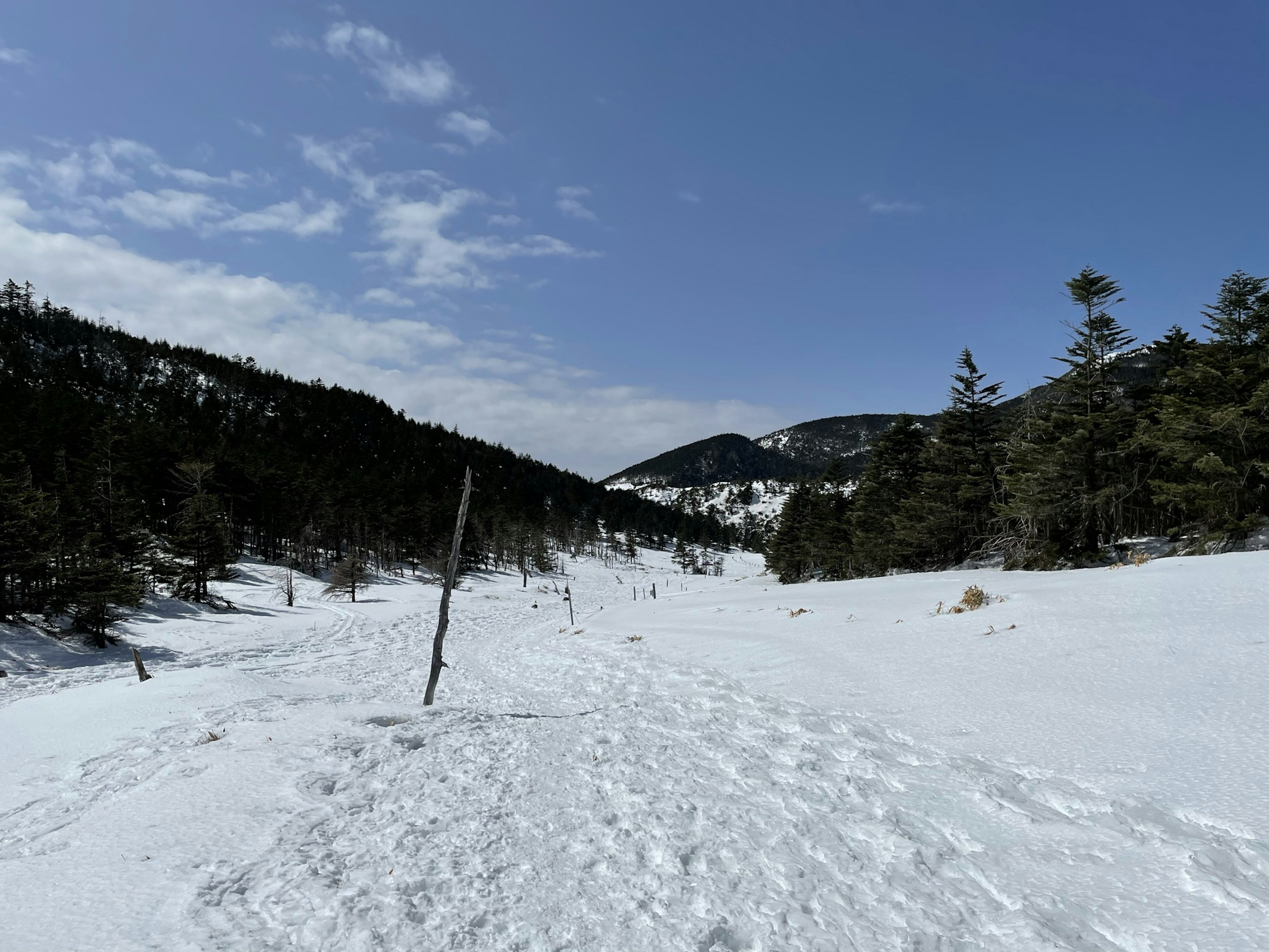 Sentiero montano coperto di neve sotto un cielo blu