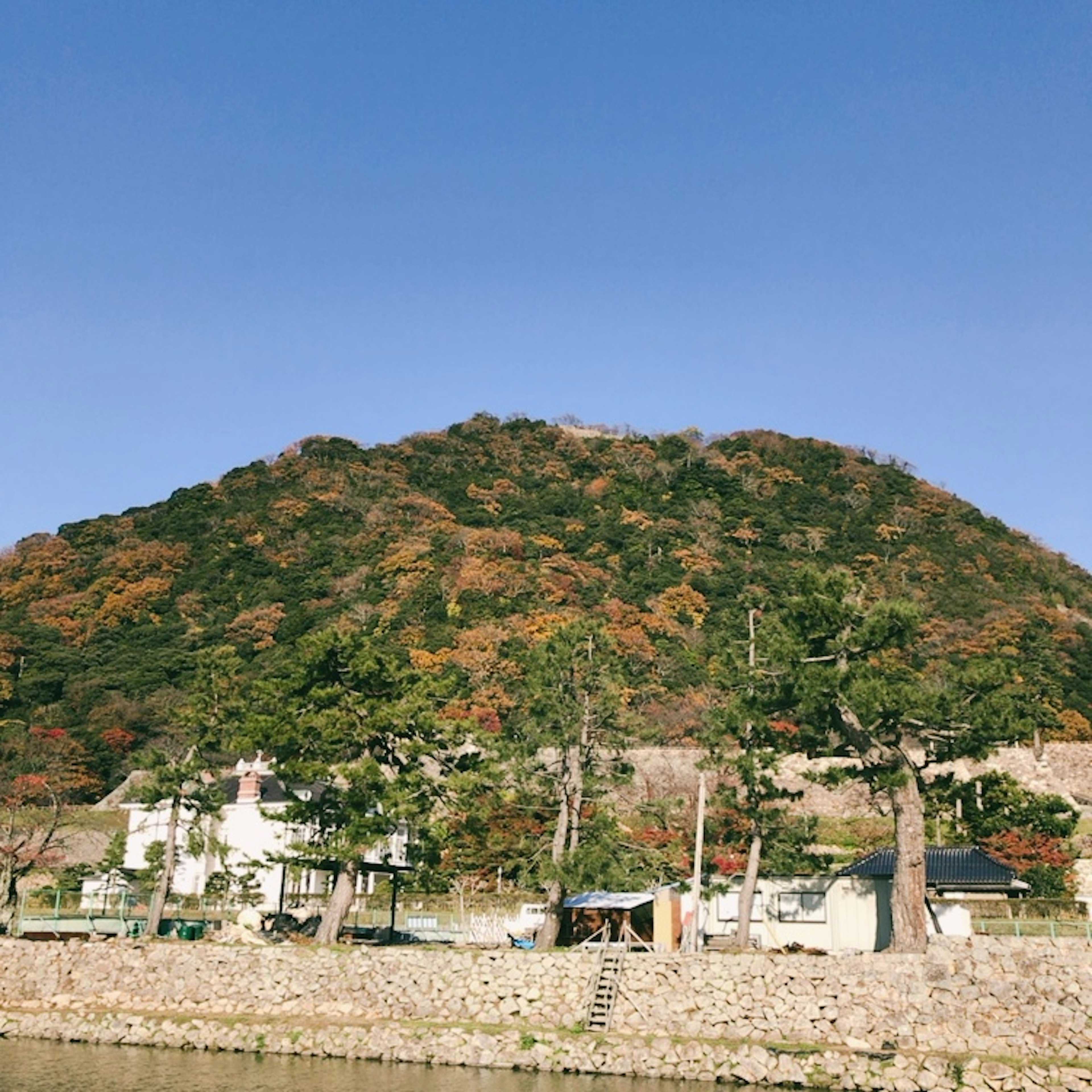 Malersiche Aussicht auf einen Berg mit buntem Laub und Häusern an einem Fluss