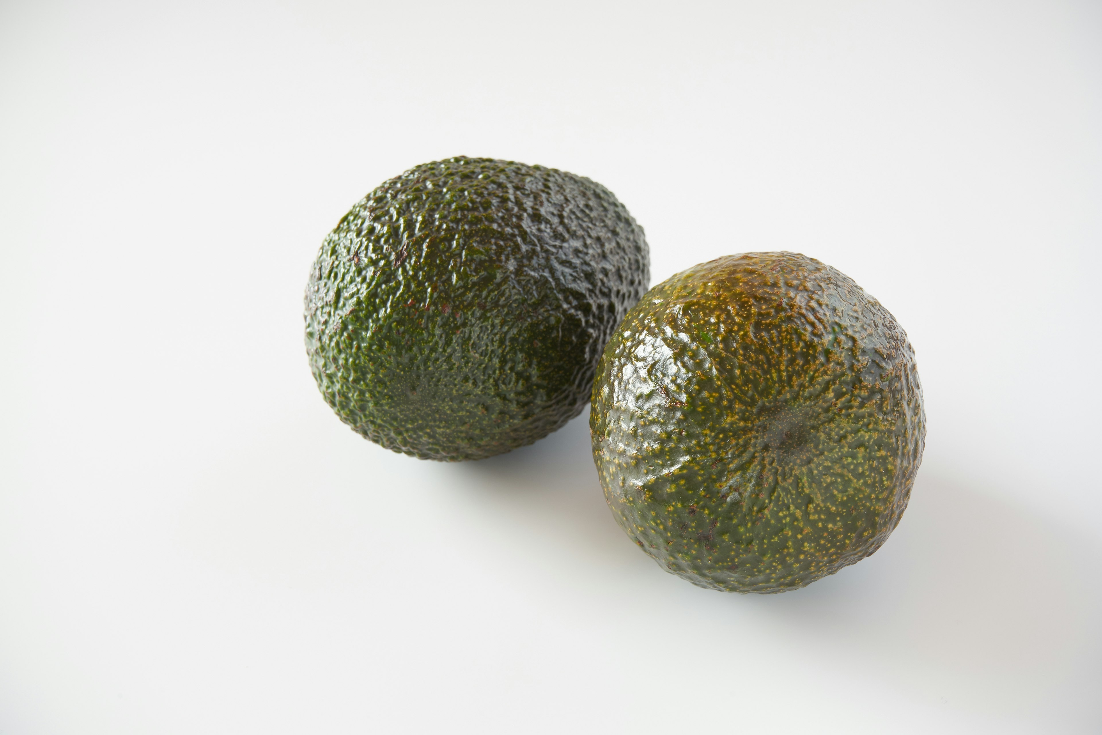 Two avocados placed on a white background