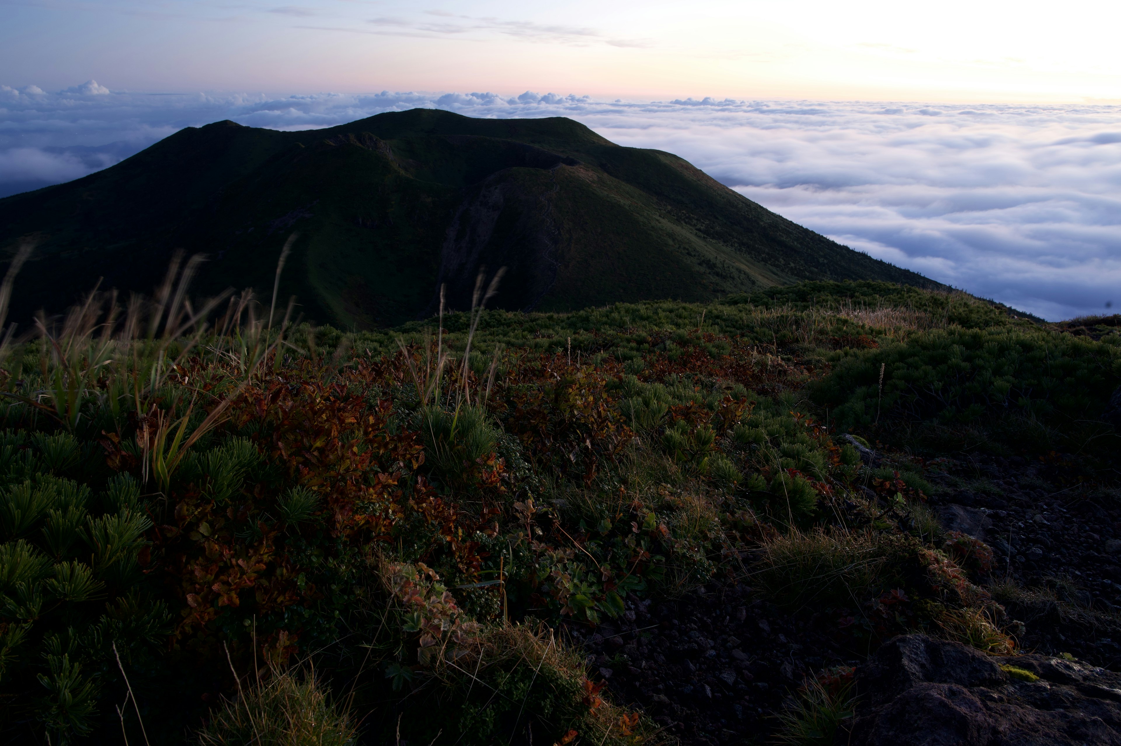 雲海を背景にした山の風景で、草と岩のテクスチャが見える