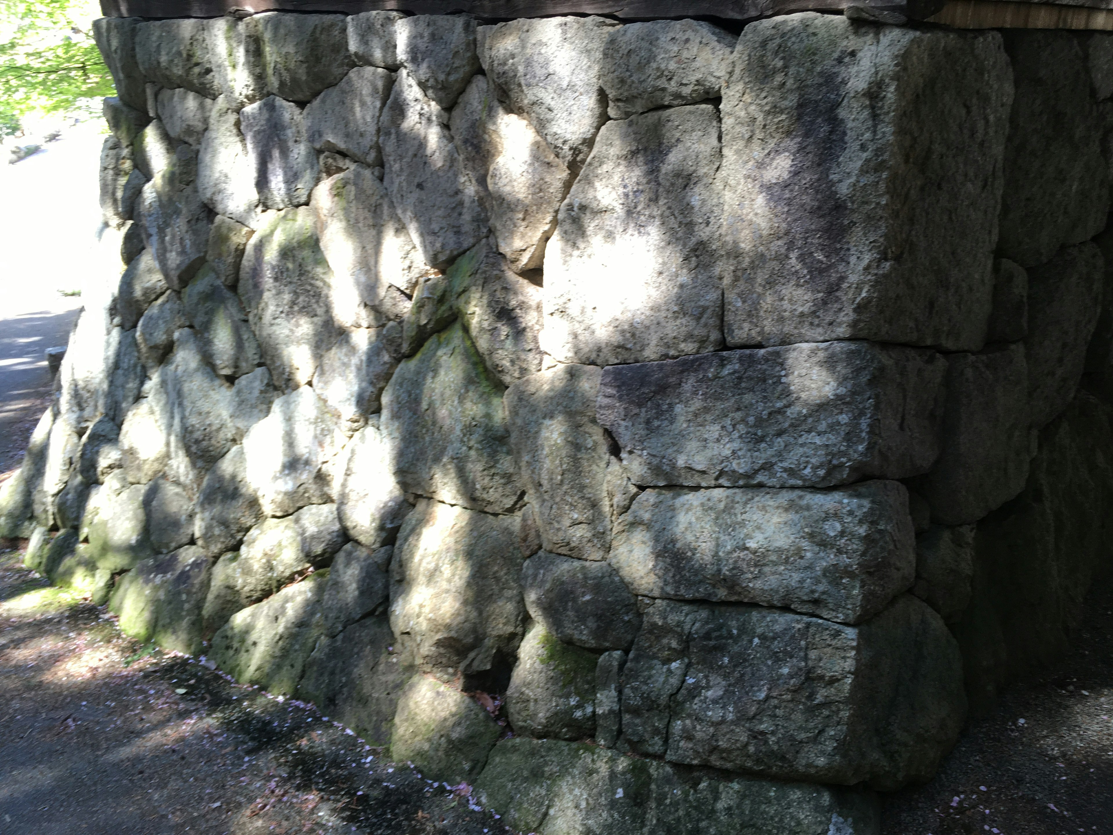 Primer plano de una pared de piedra con musgo visible y sombras